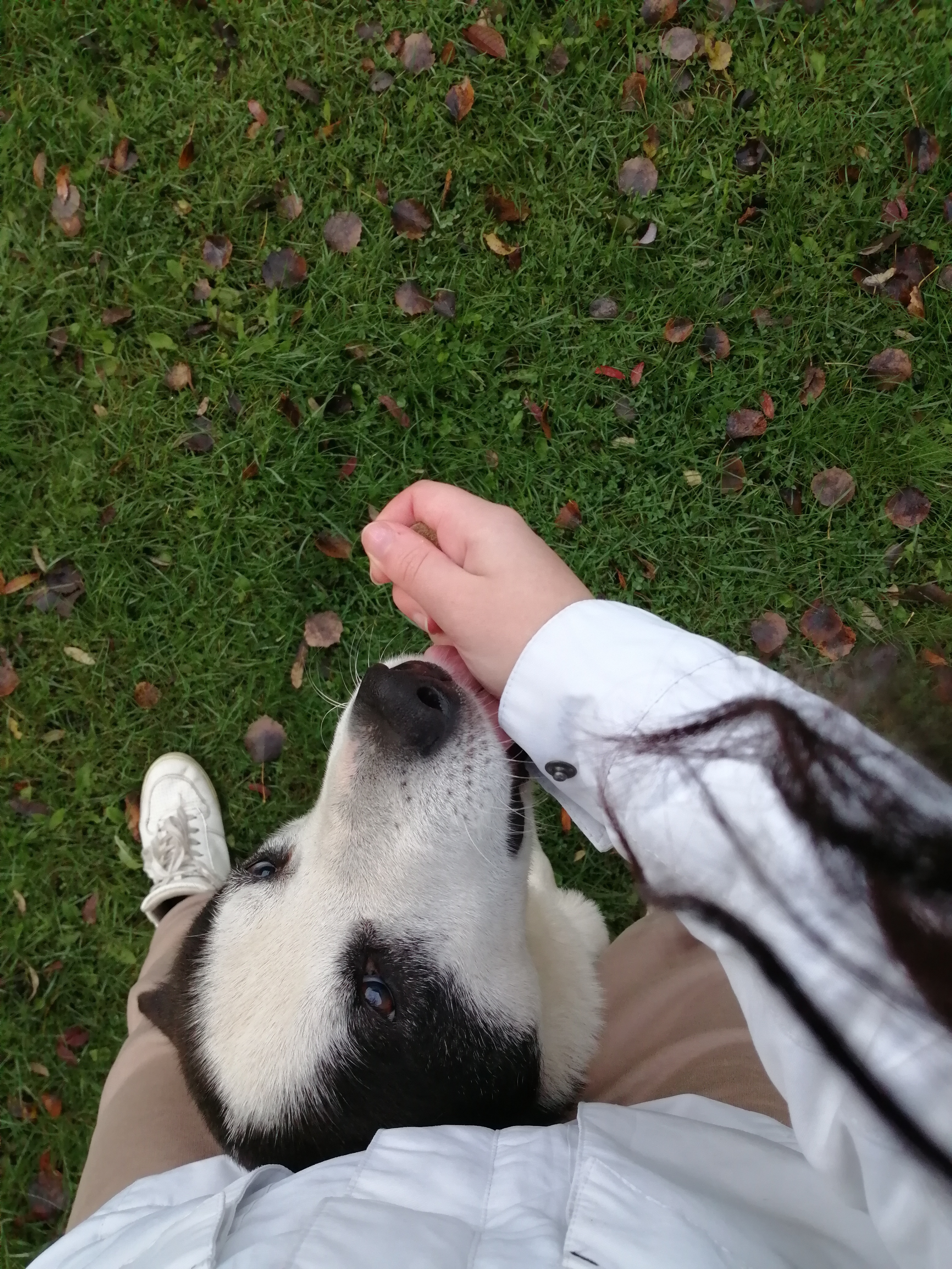 image-4