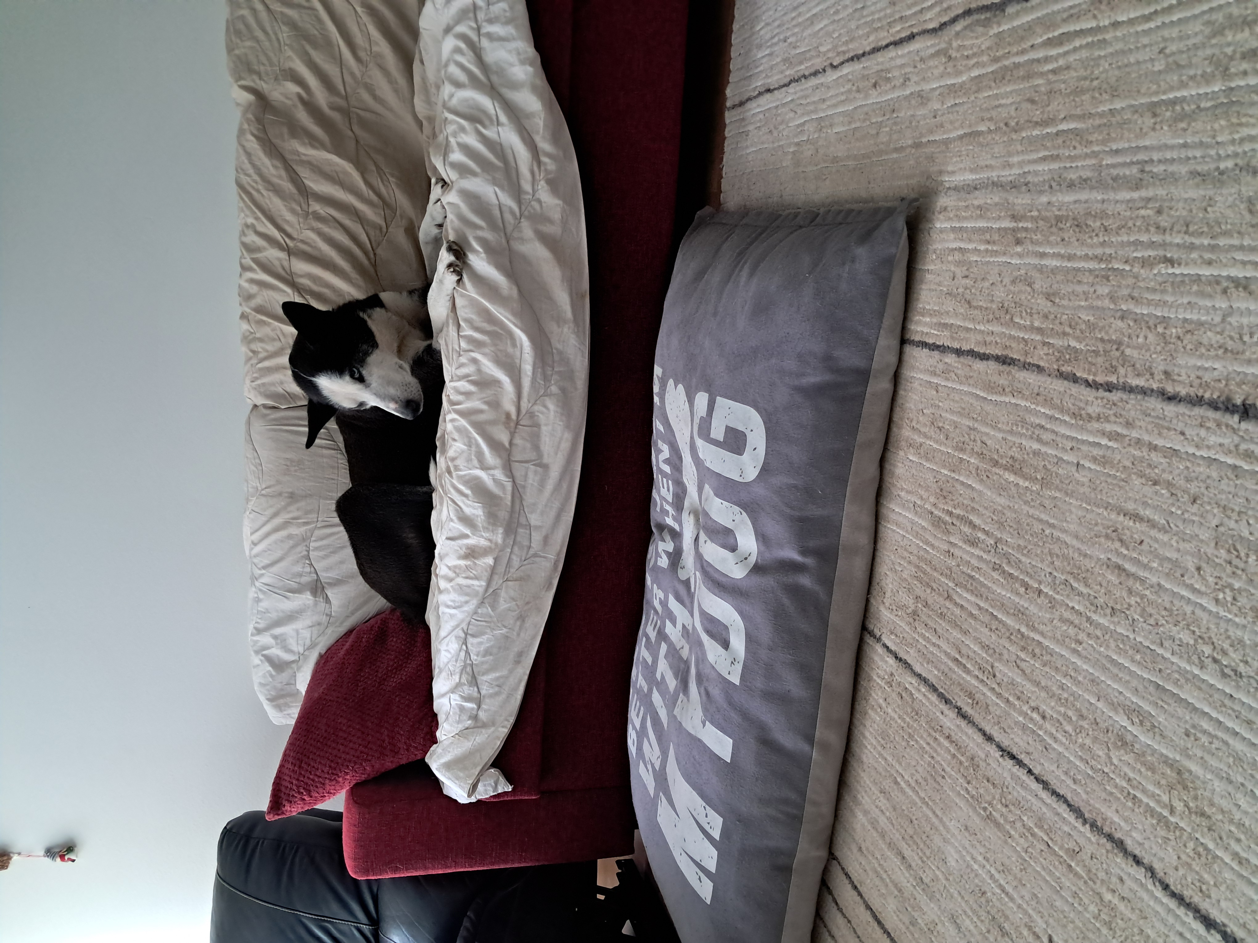 image-16