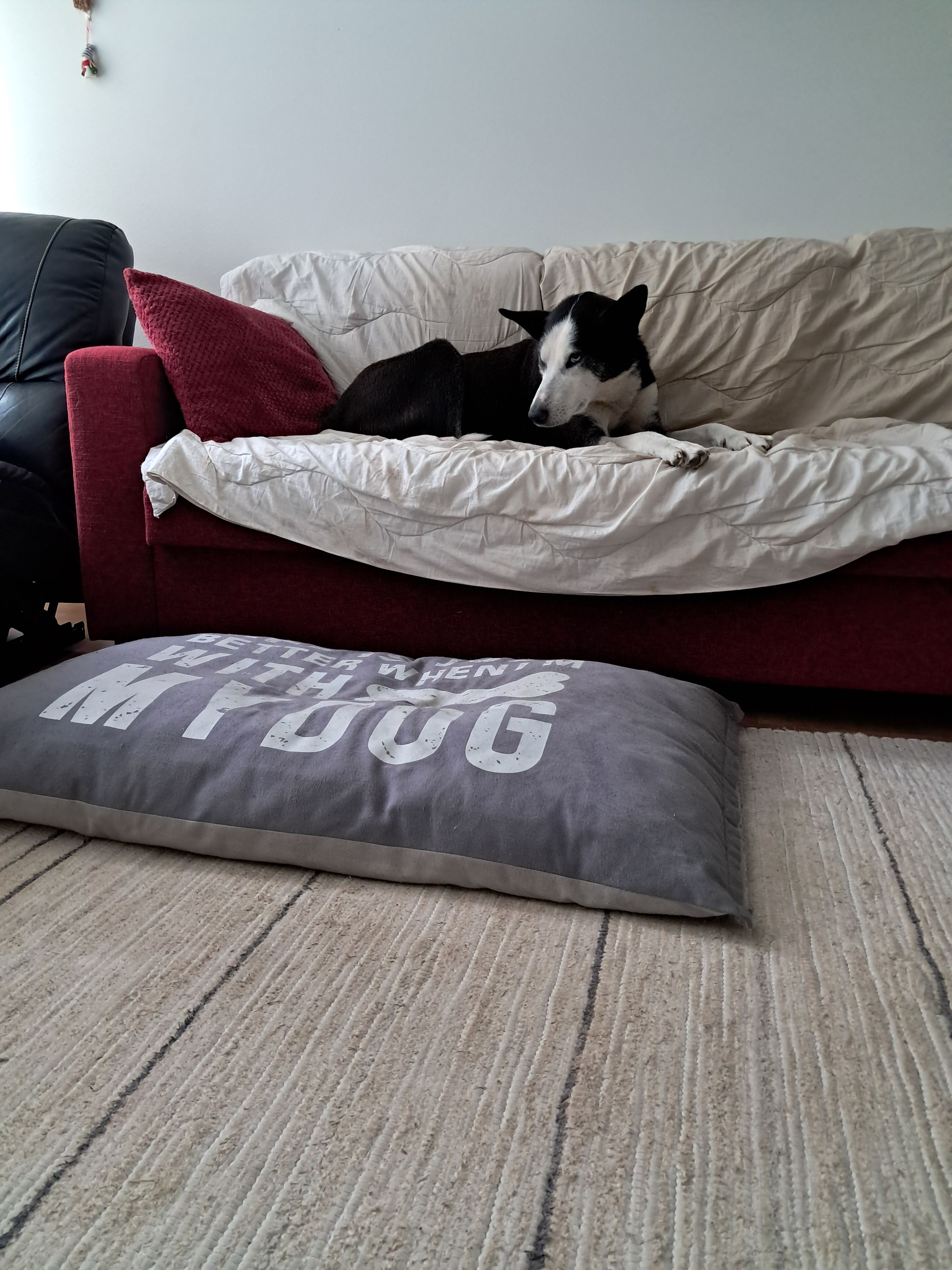 image-16