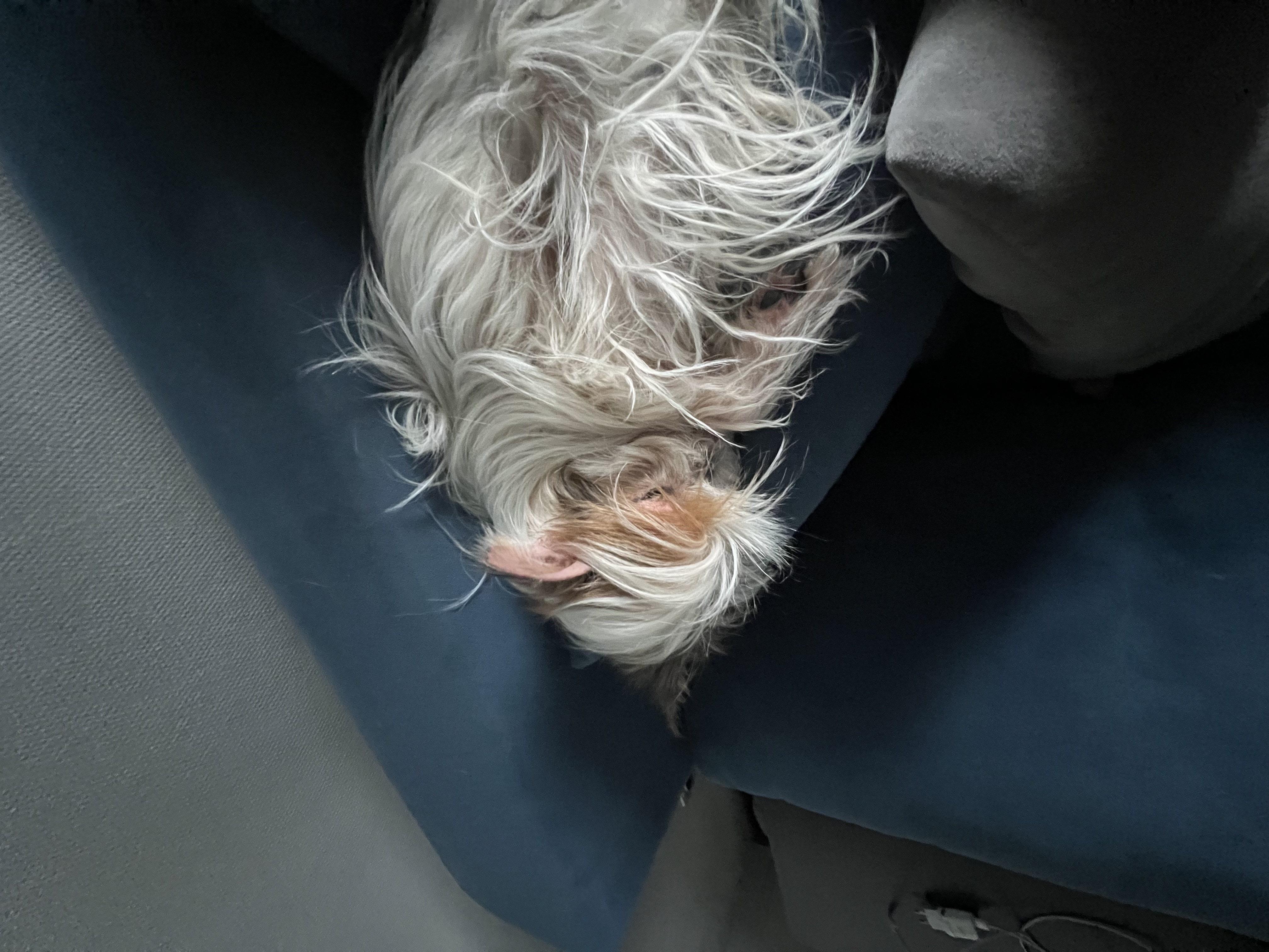 image-7