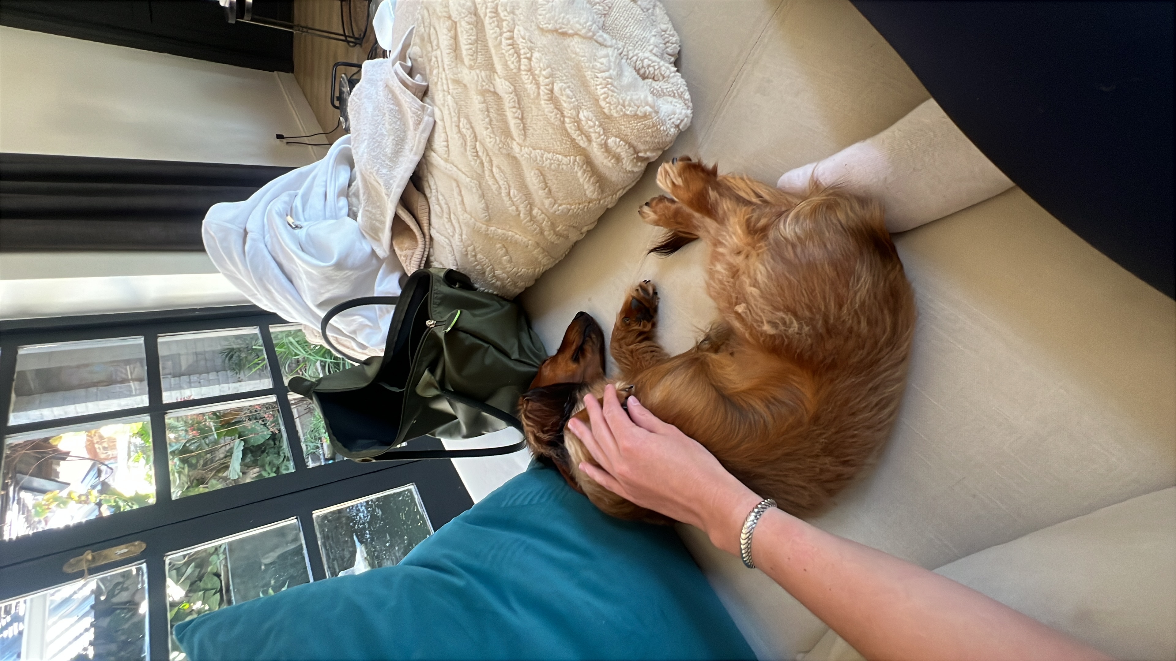 image-7