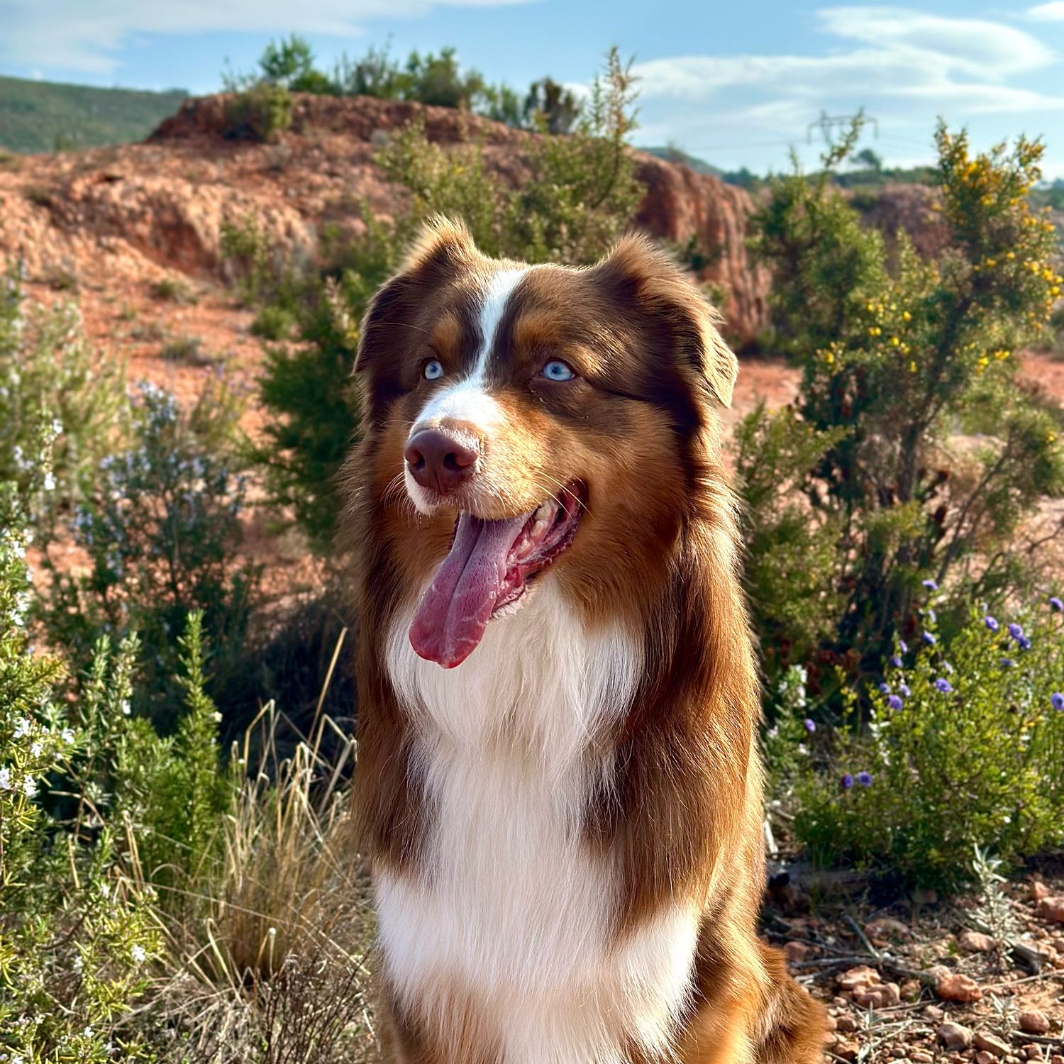Hugo