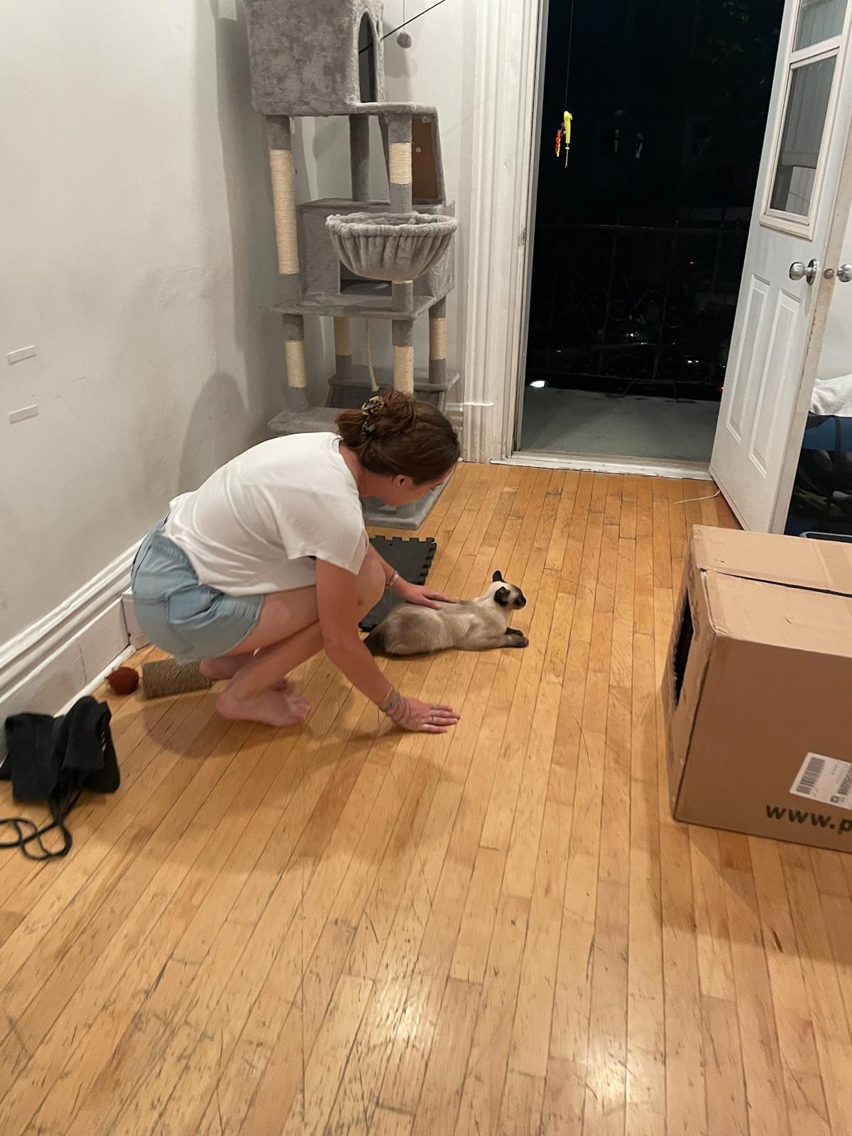 image-8