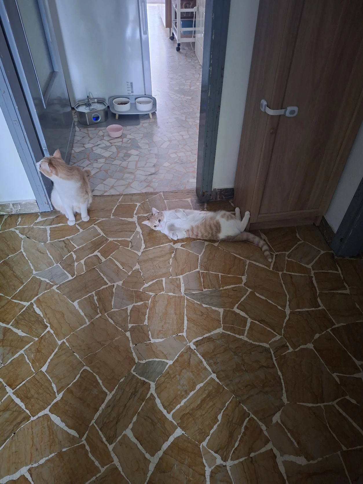 image-18