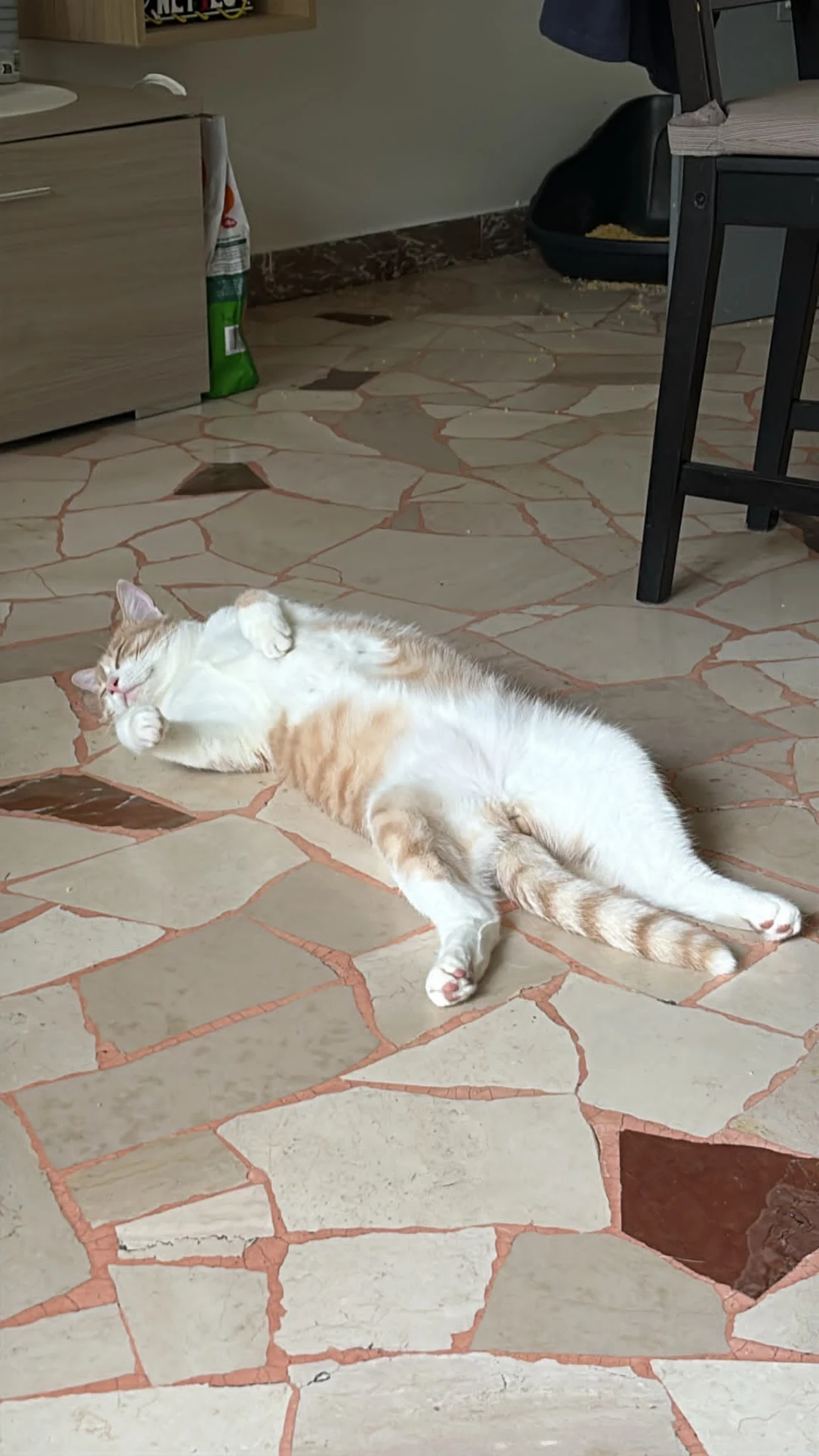 image-11