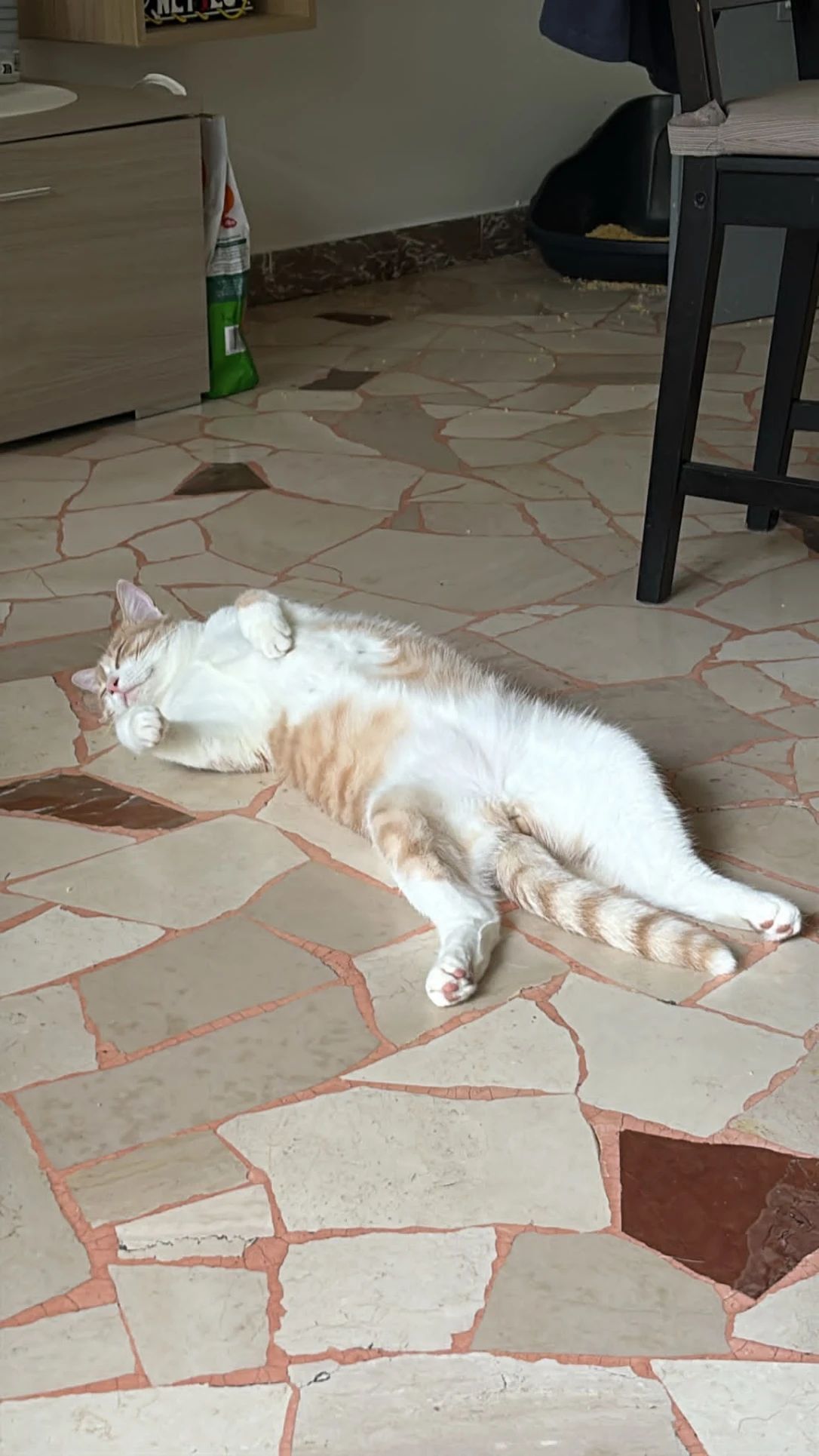 image-11