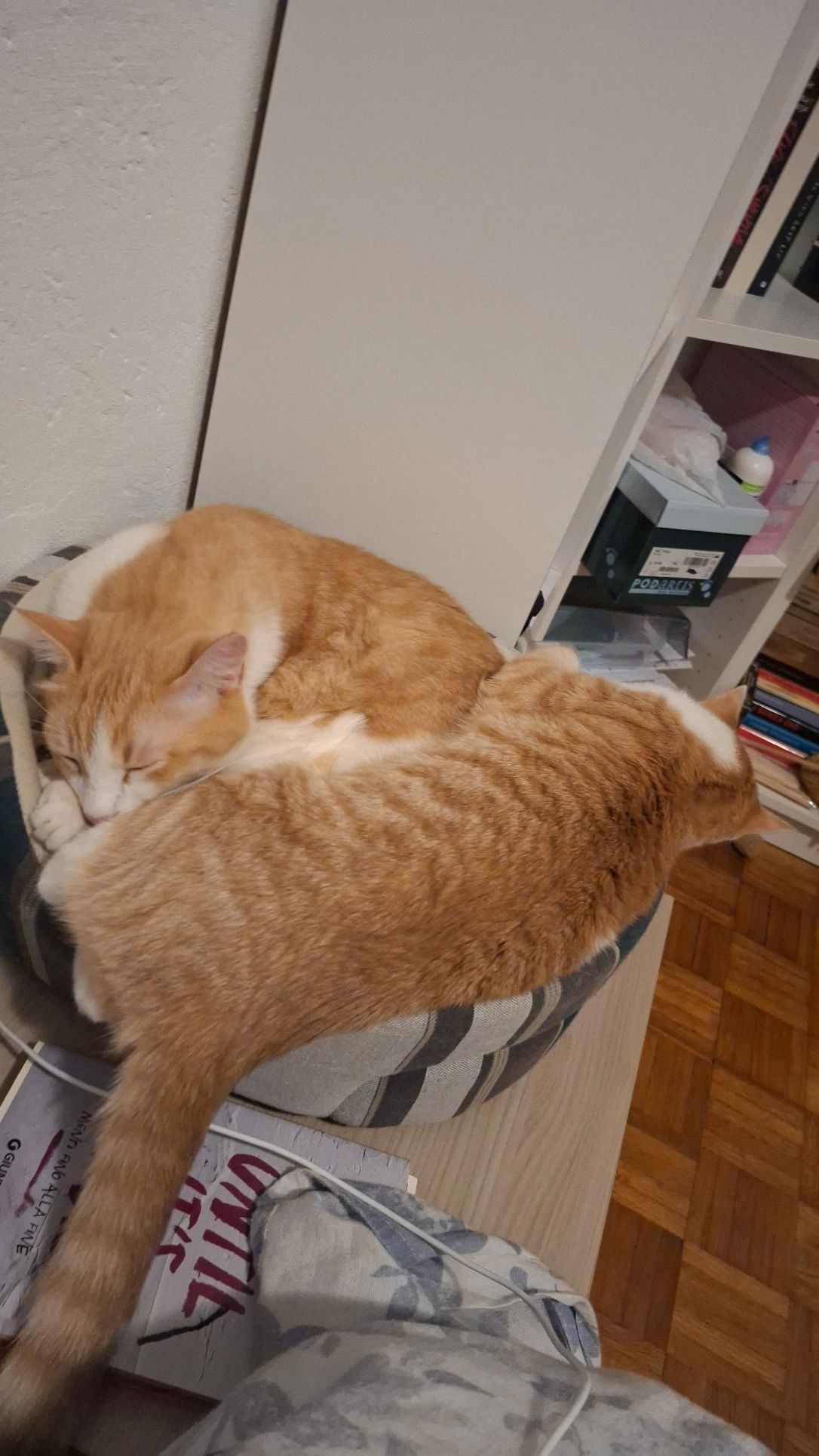 image-16
