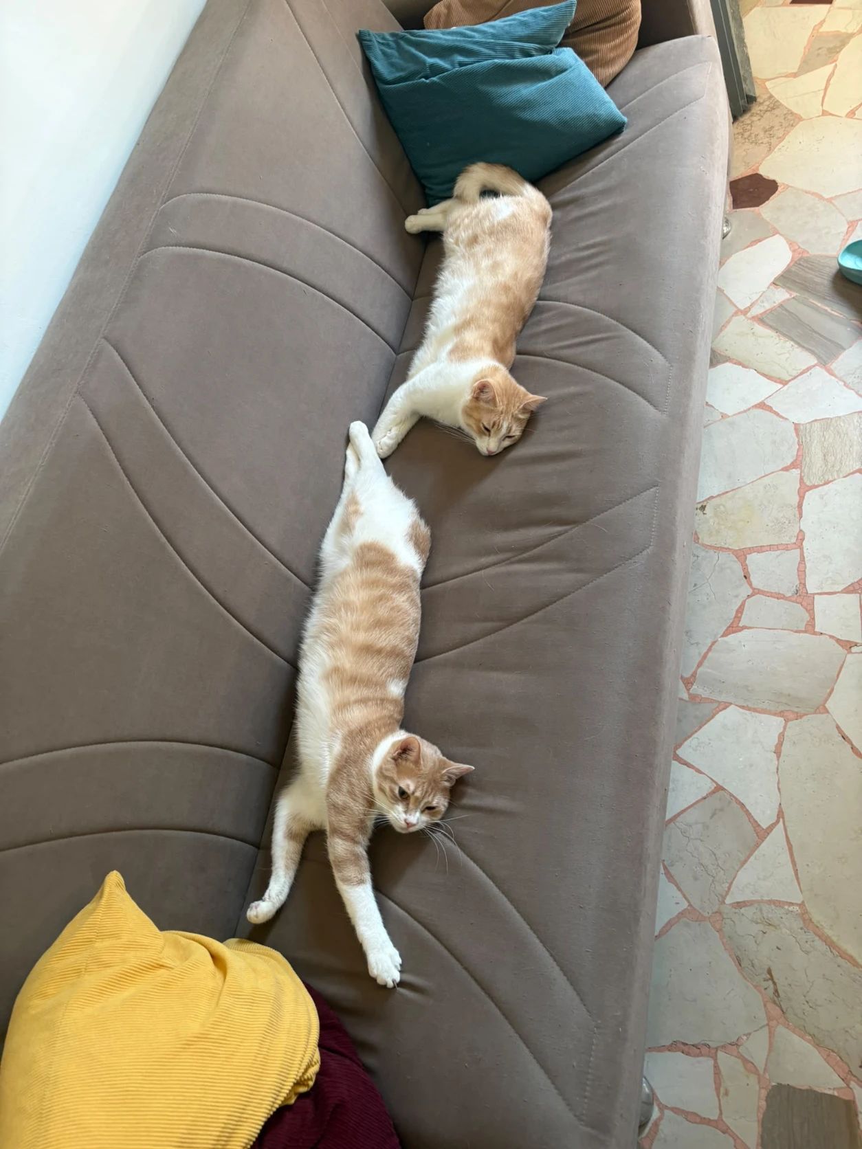 image-10