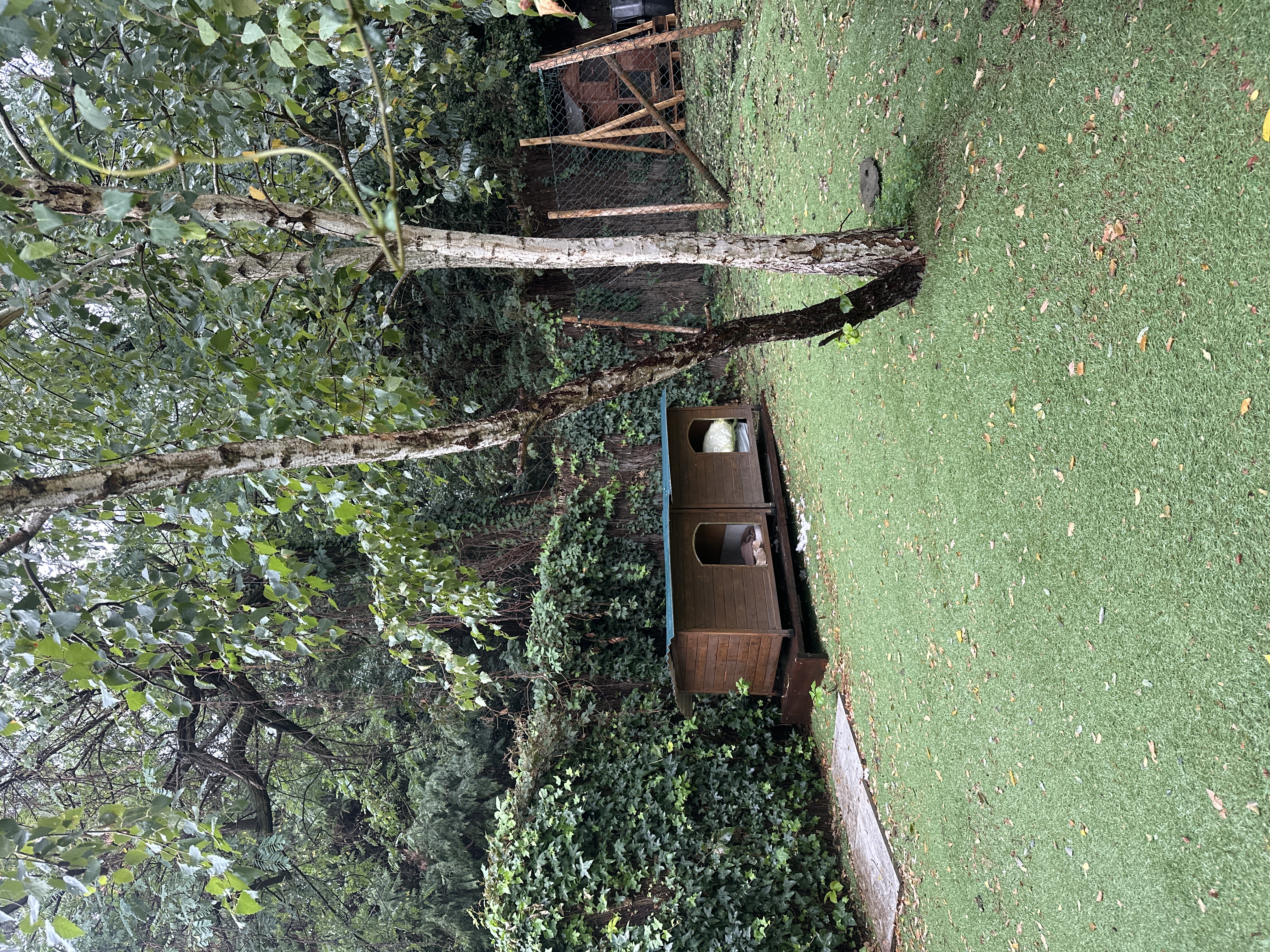 image-26