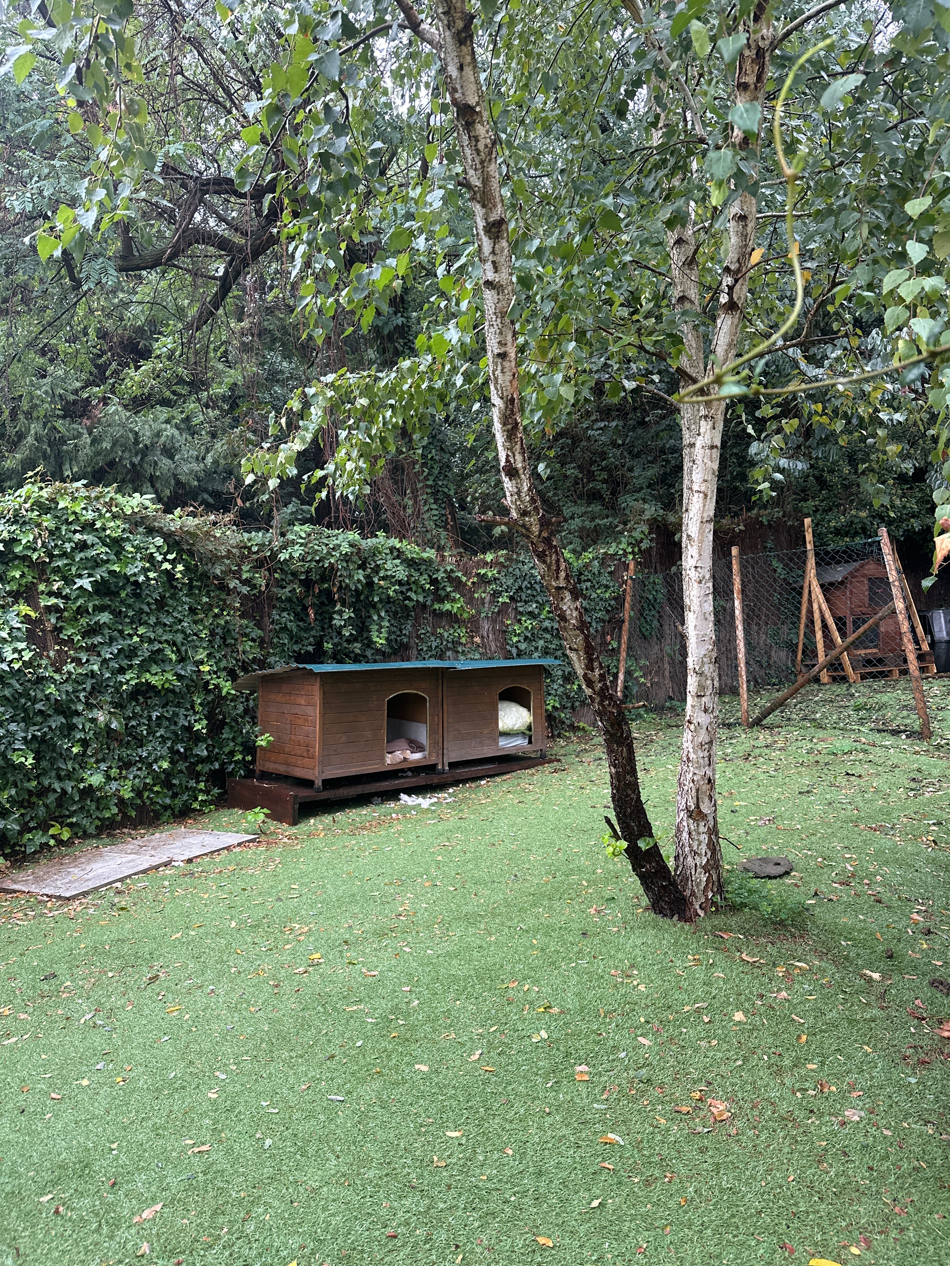 image-26