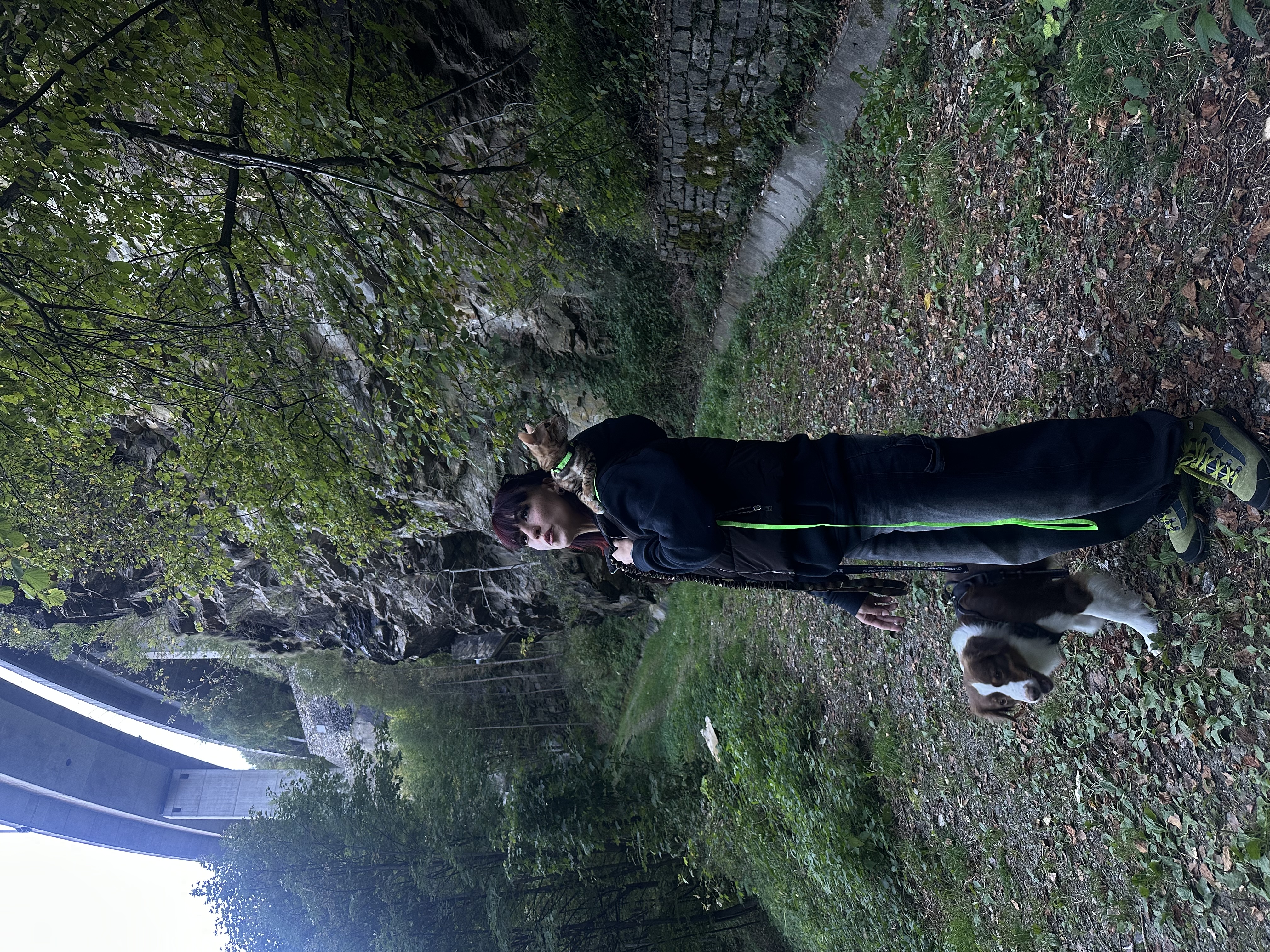 image-17