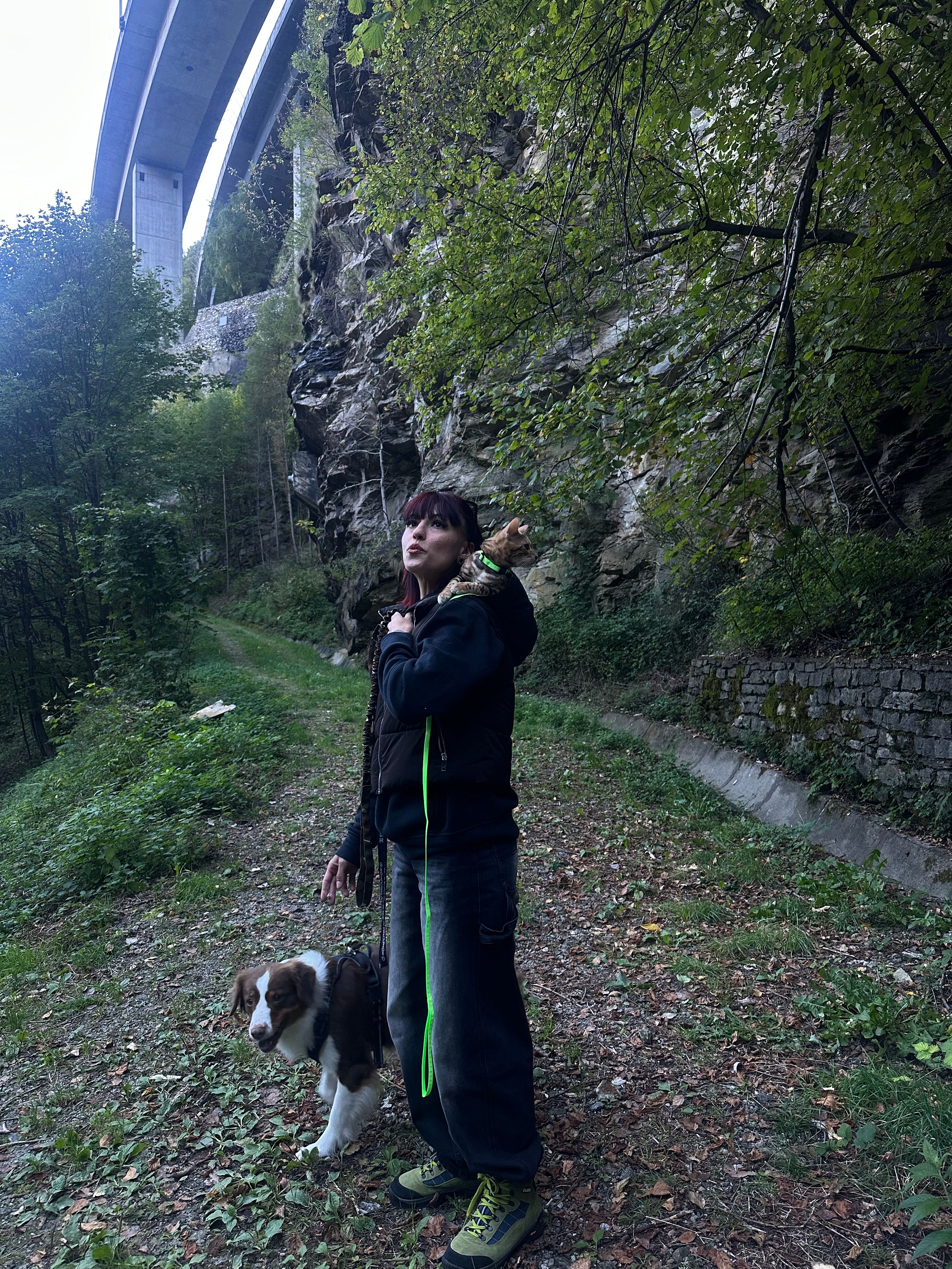 image-17