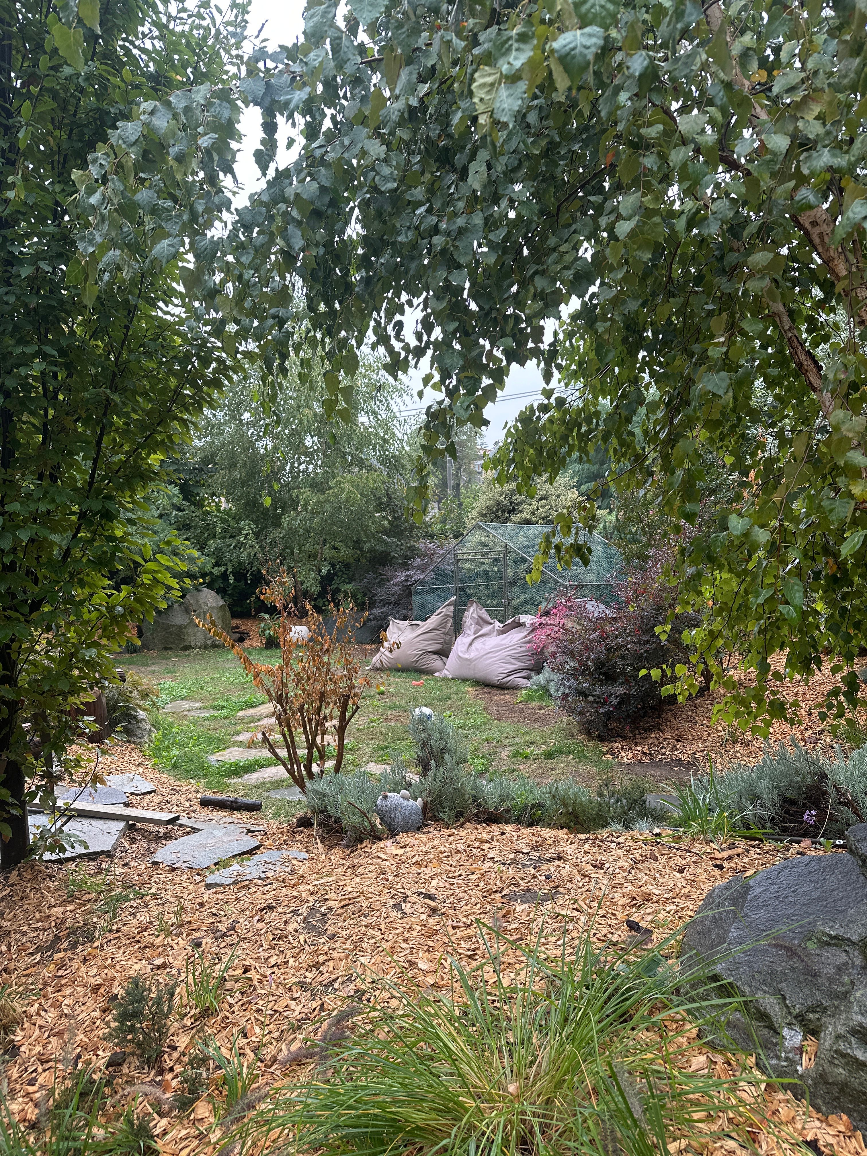 image-24