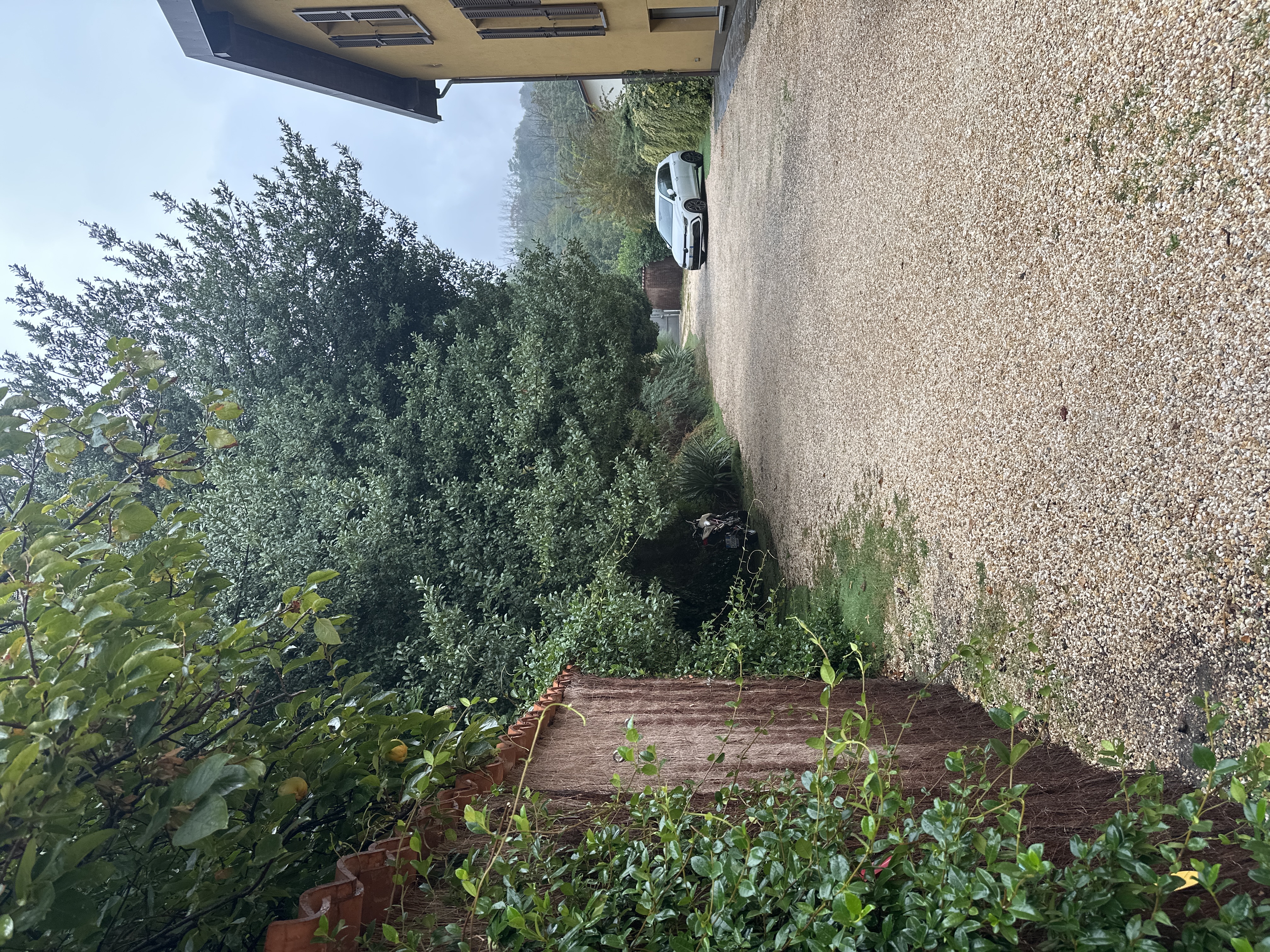 image-23