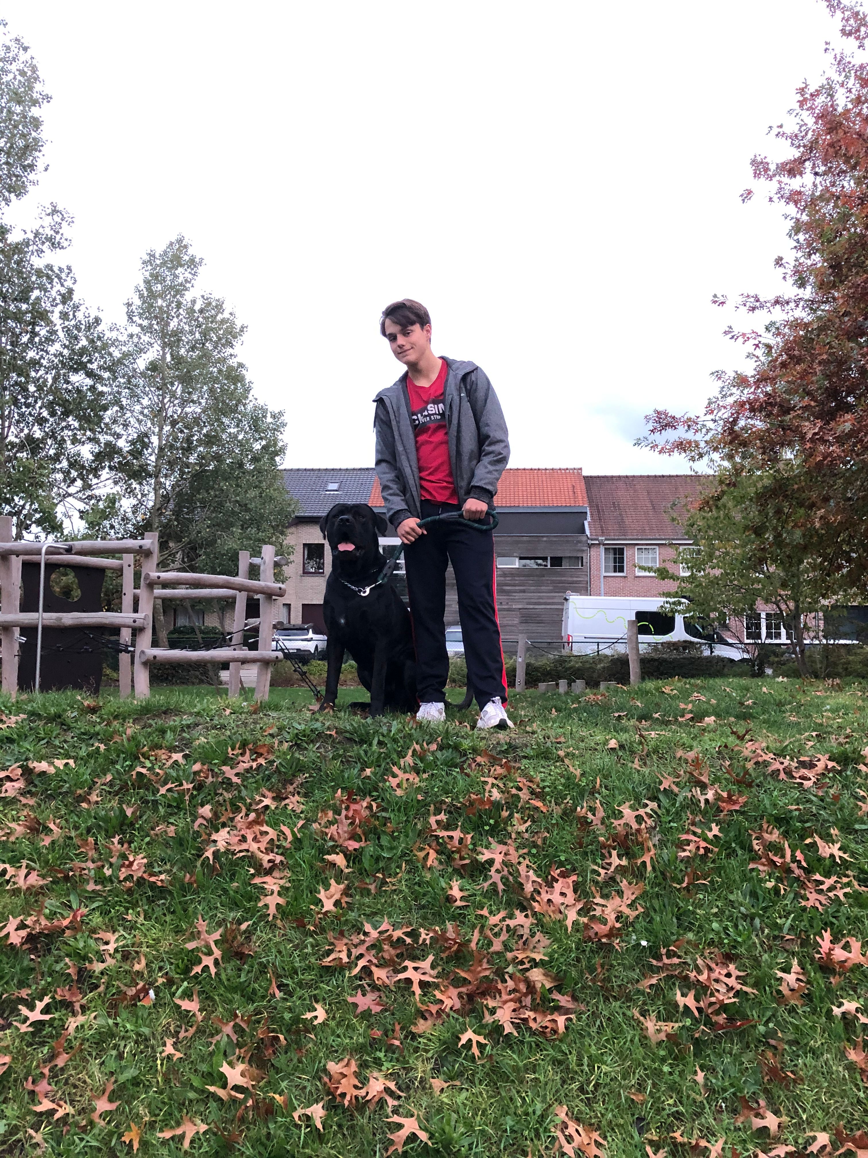 image-5