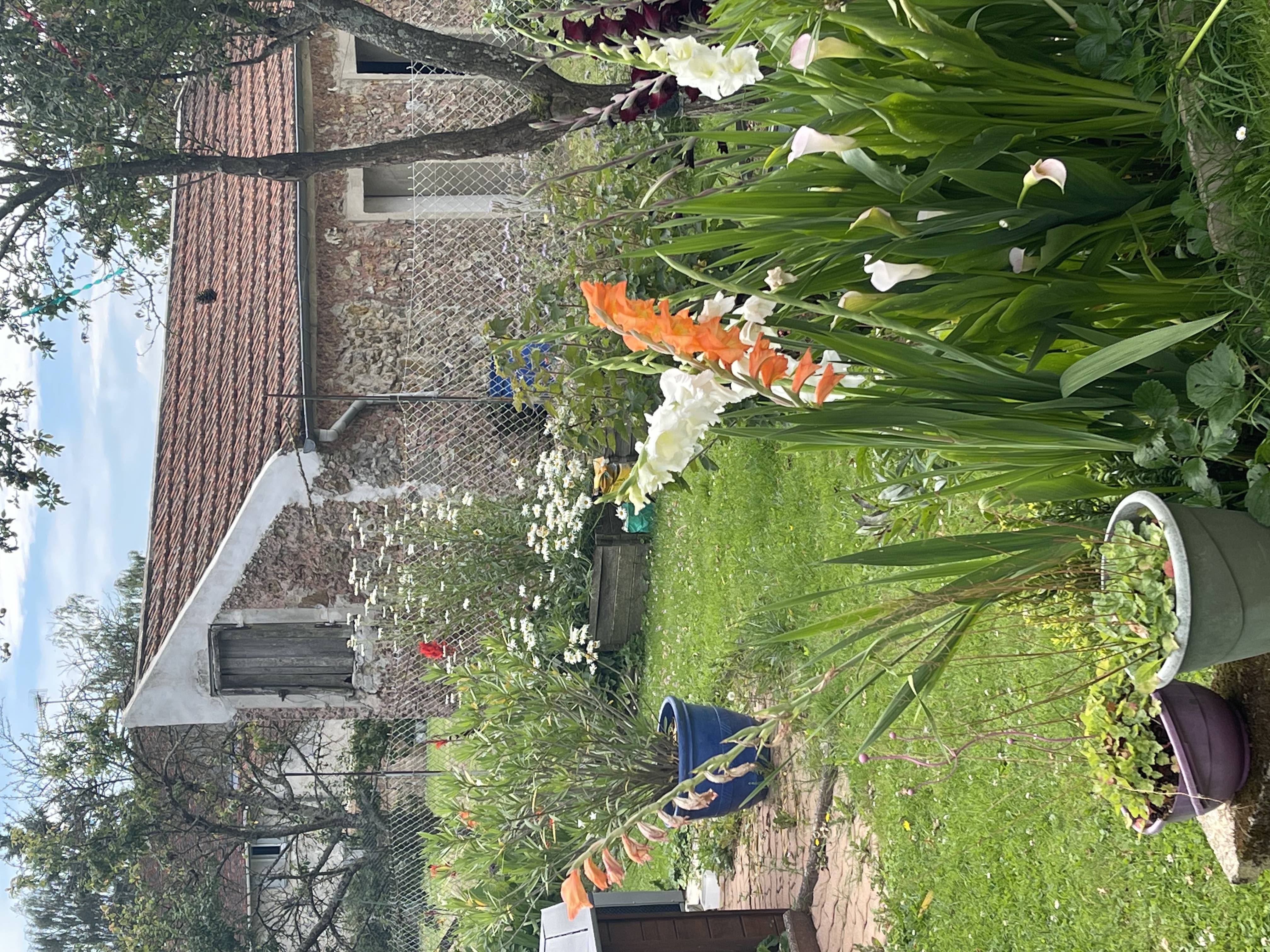 image-14