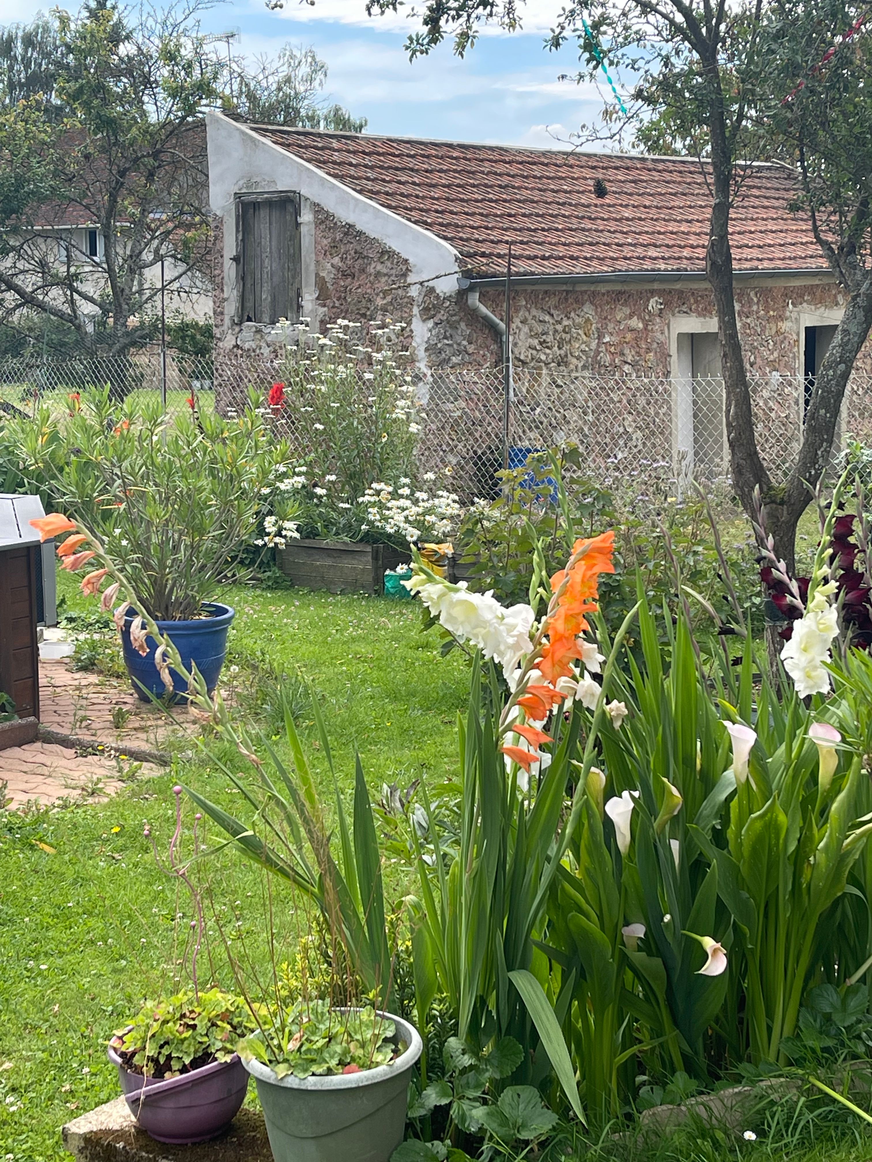 image-14