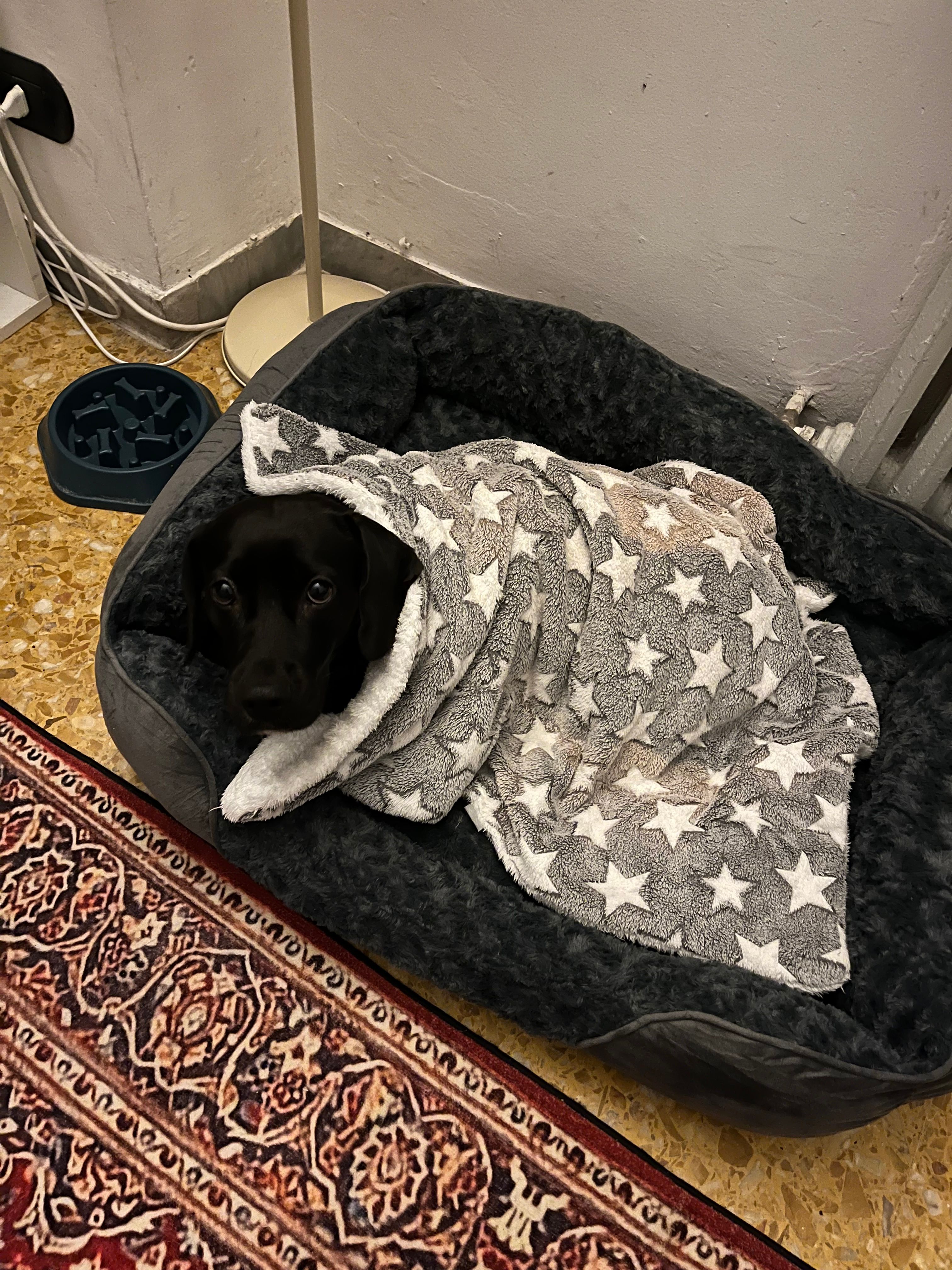 image-7
