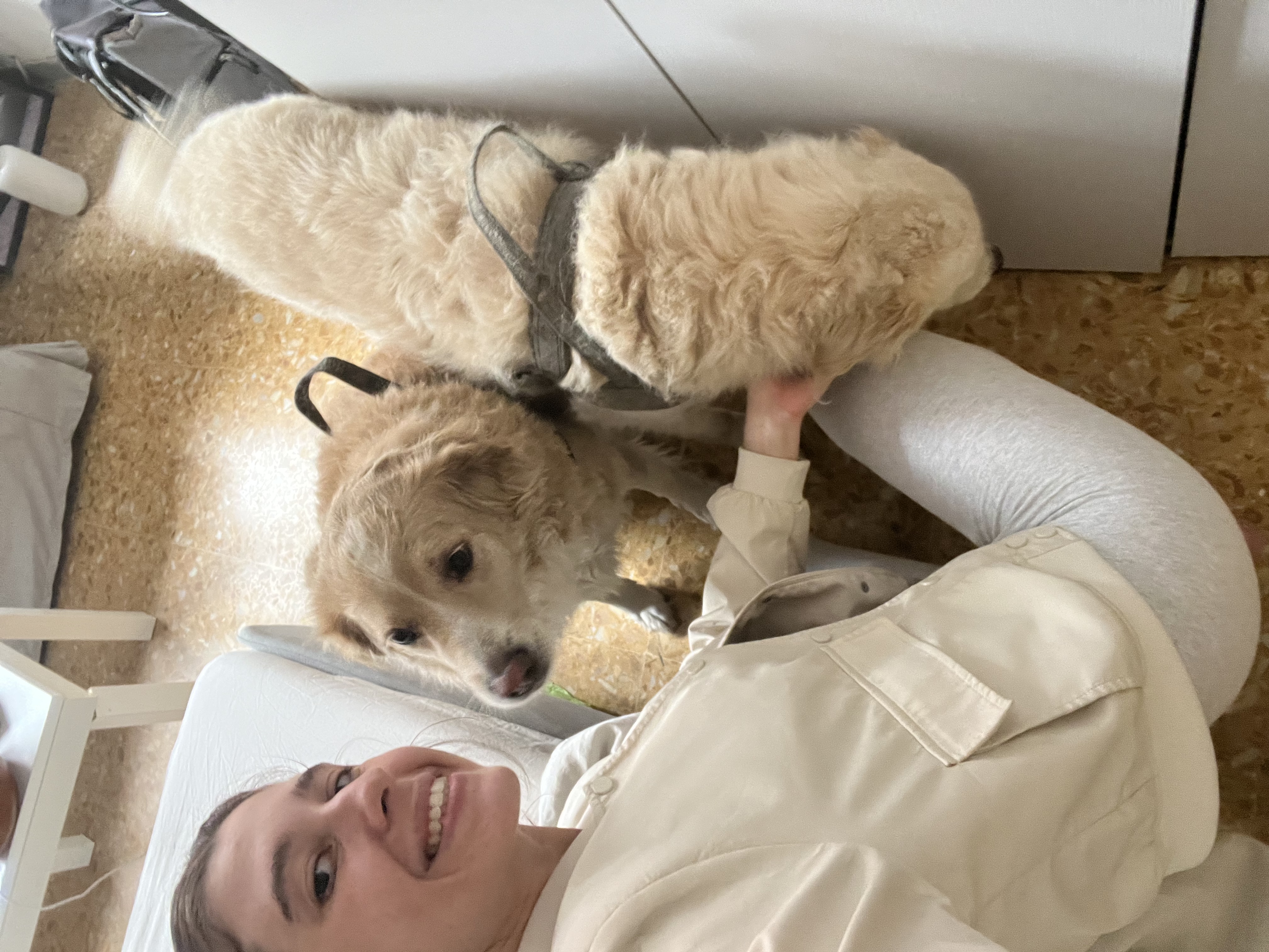 image-17