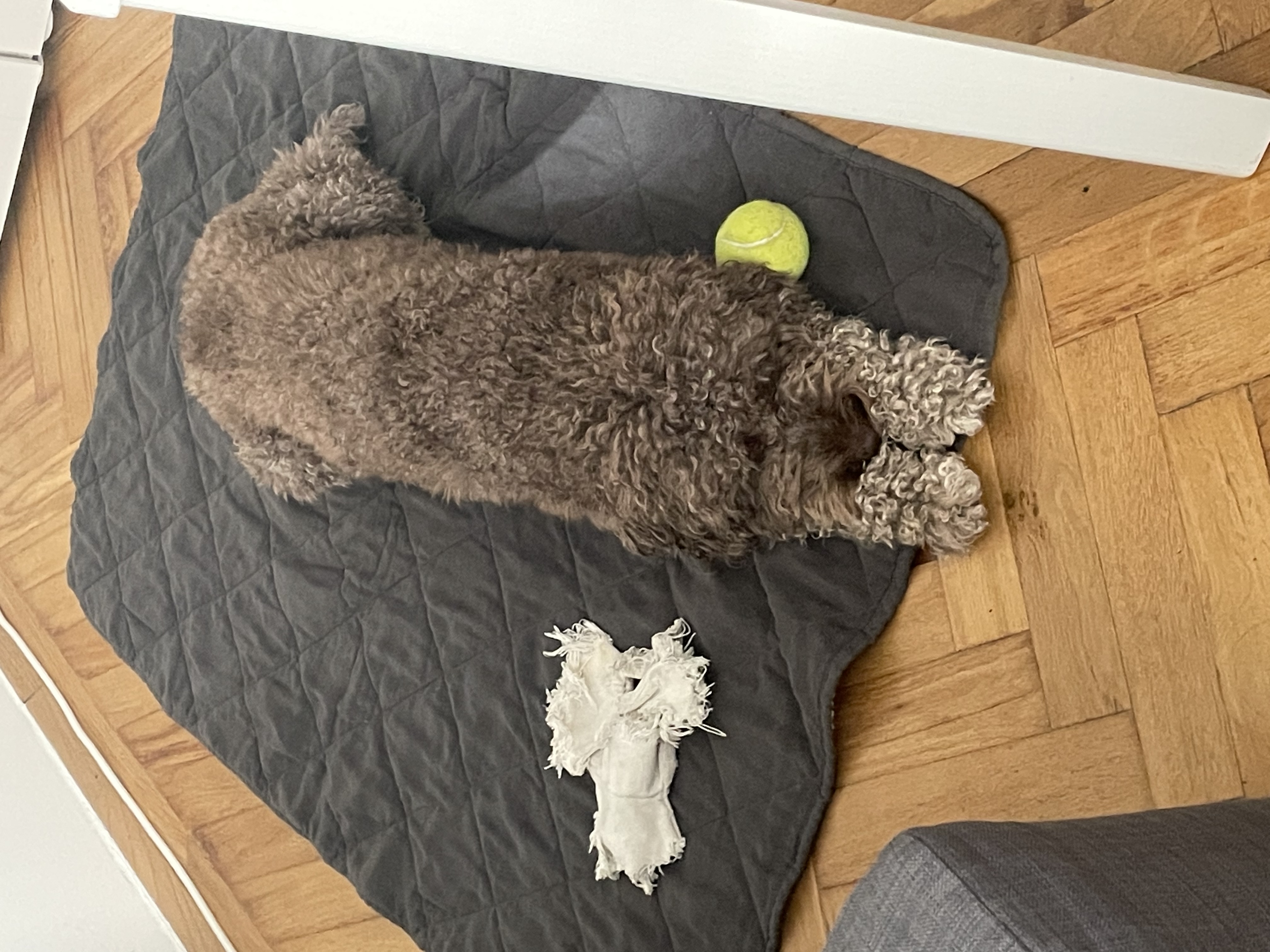 image-37