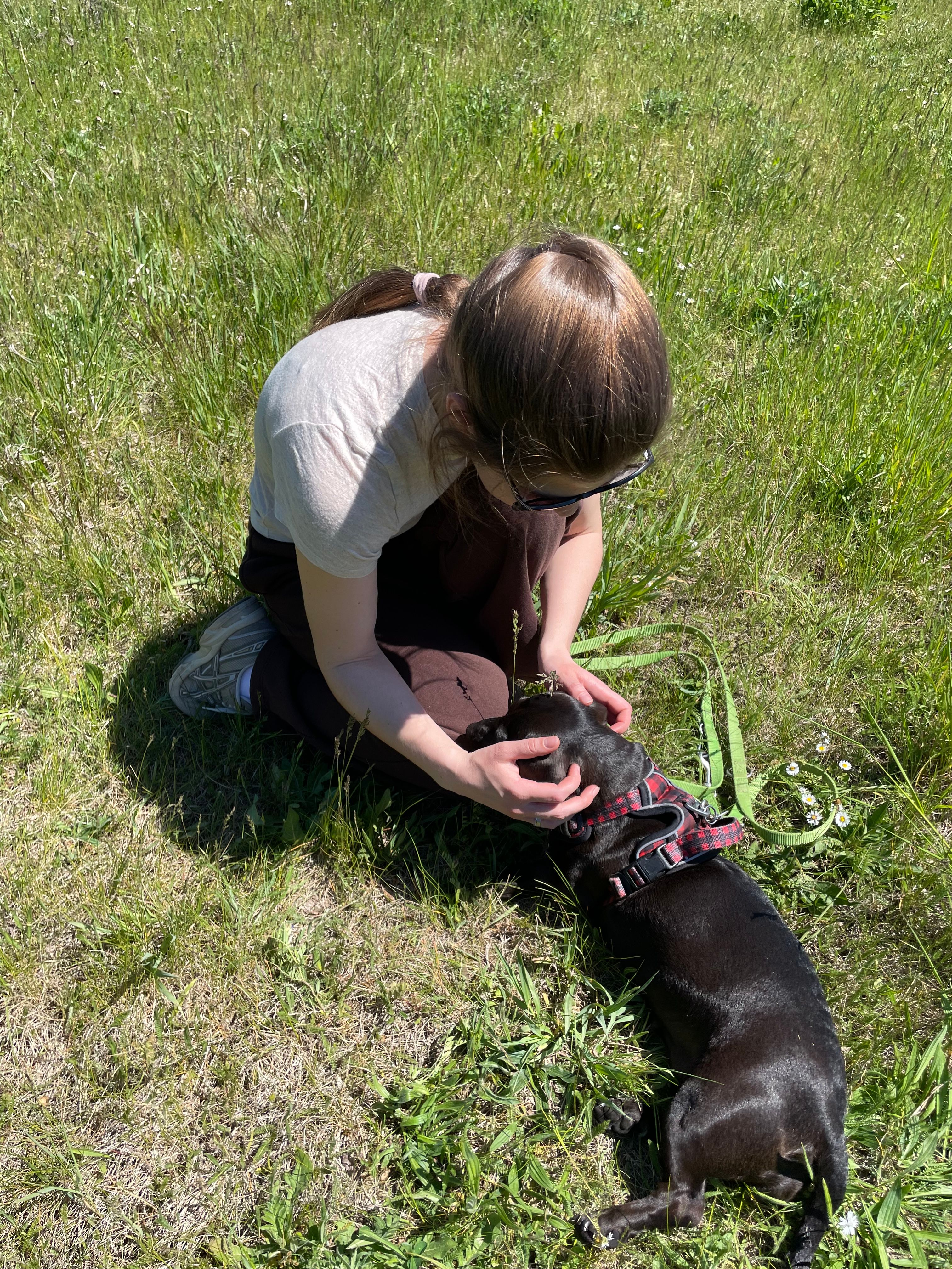 image-25