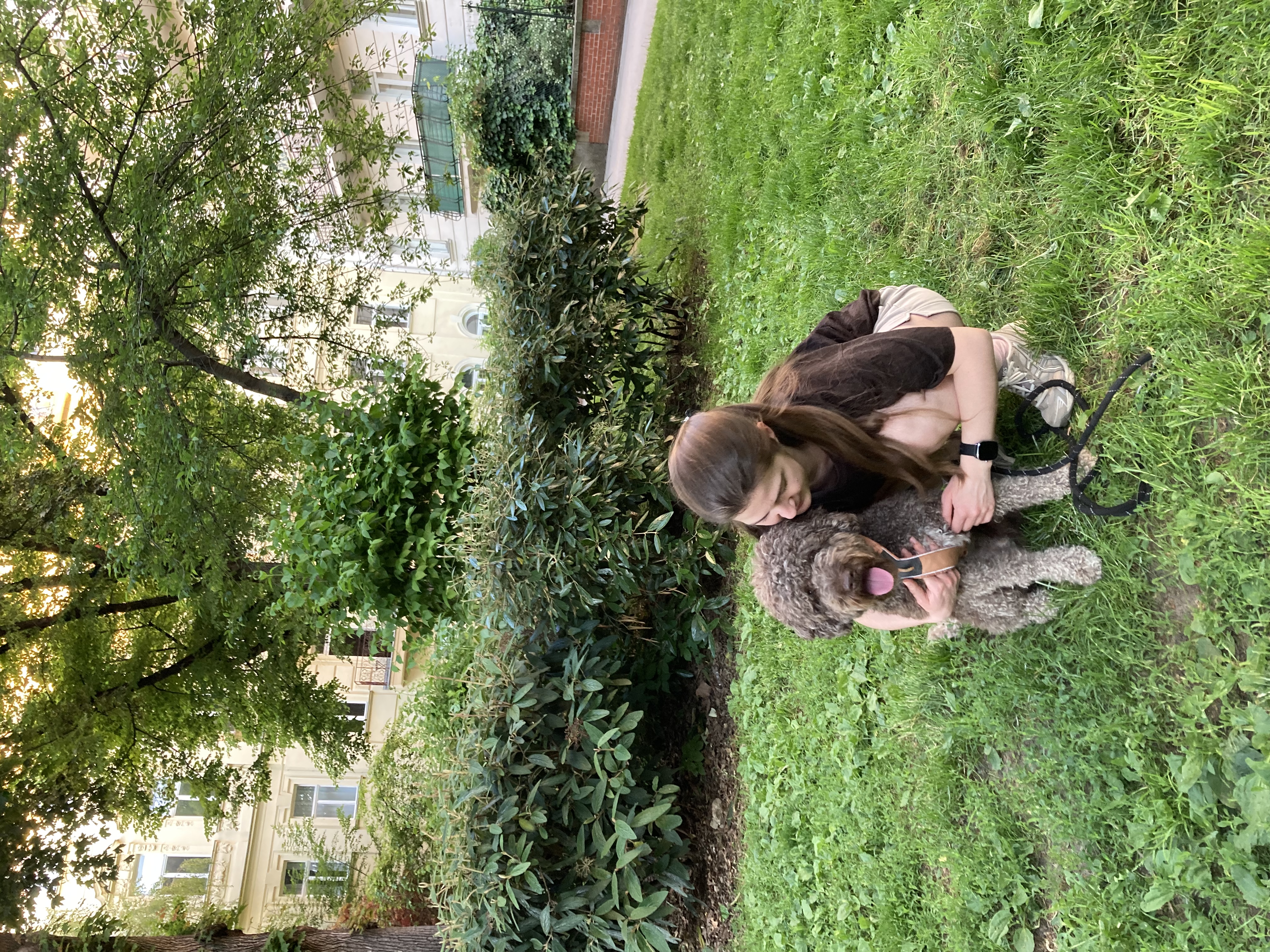 image-40