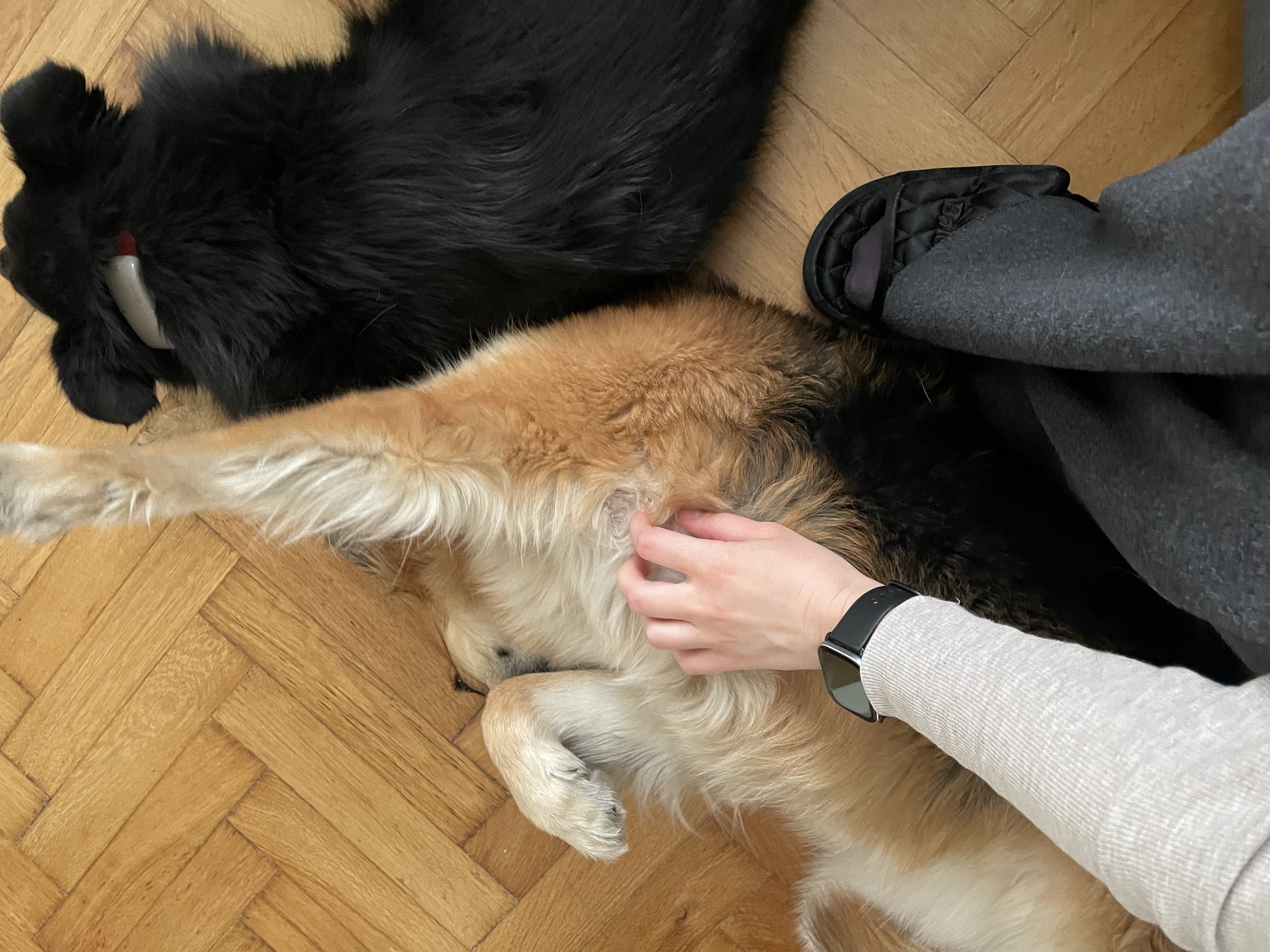 image-35
