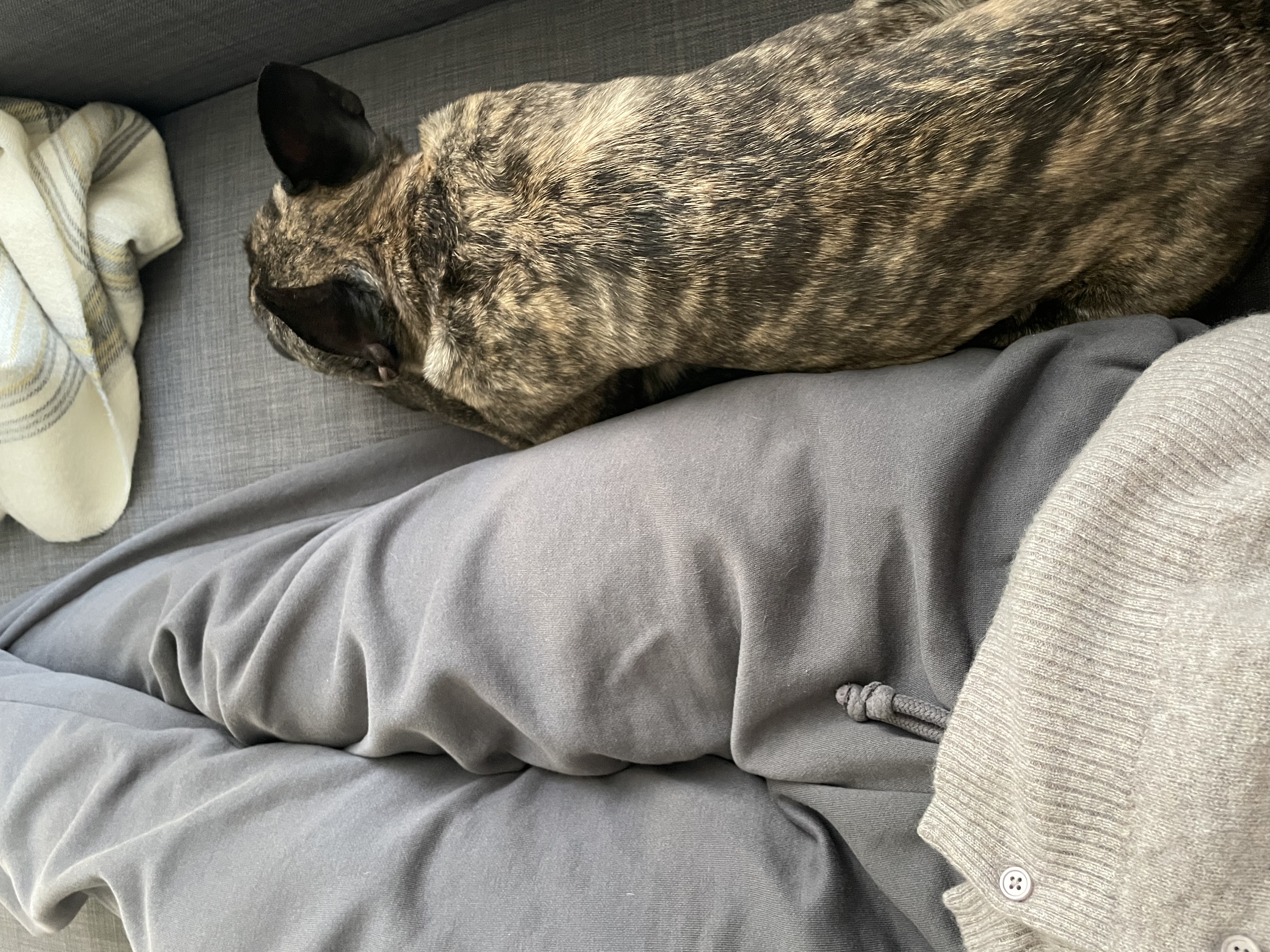 image-22