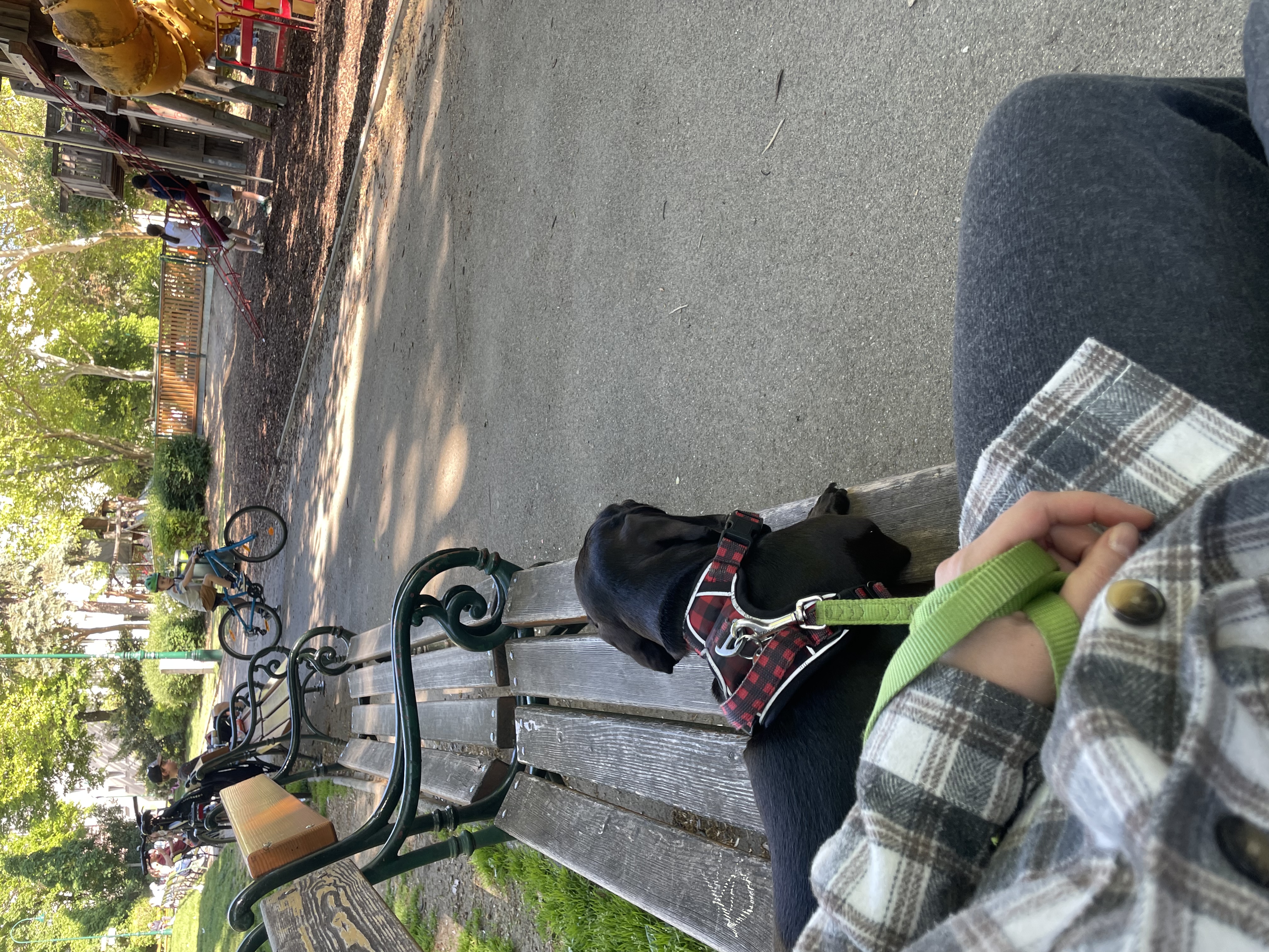 image-27