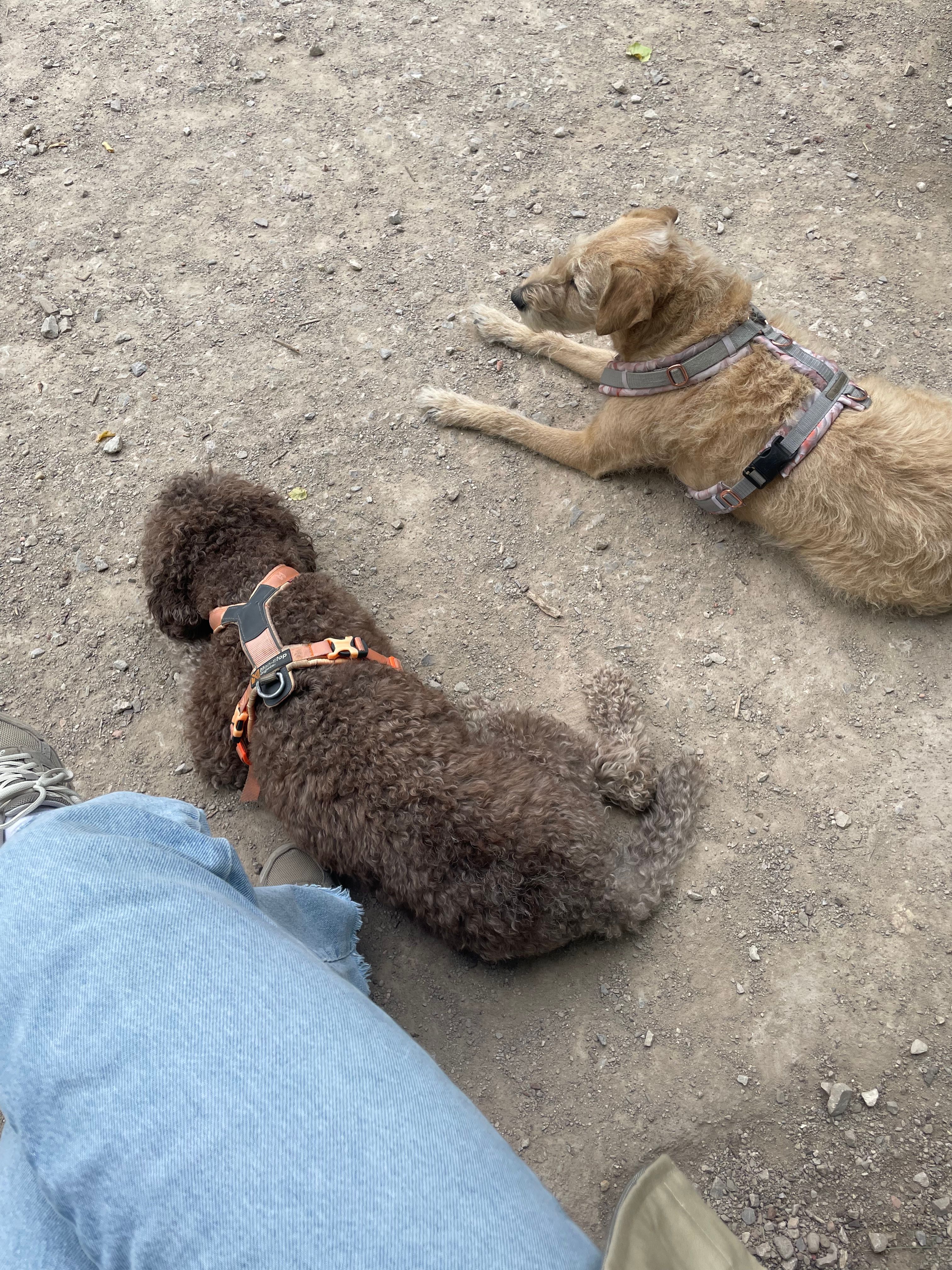 image-36