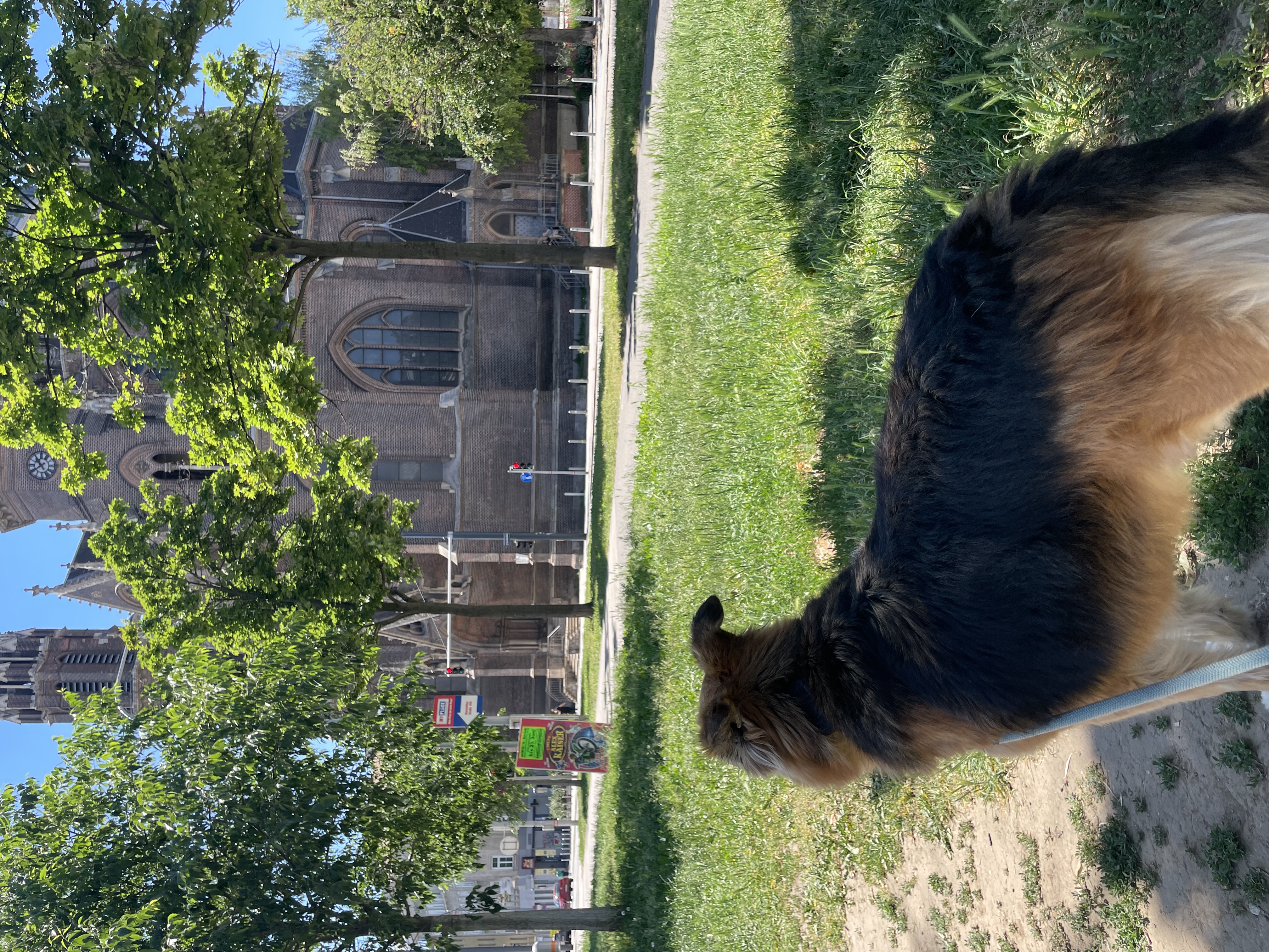 image-42