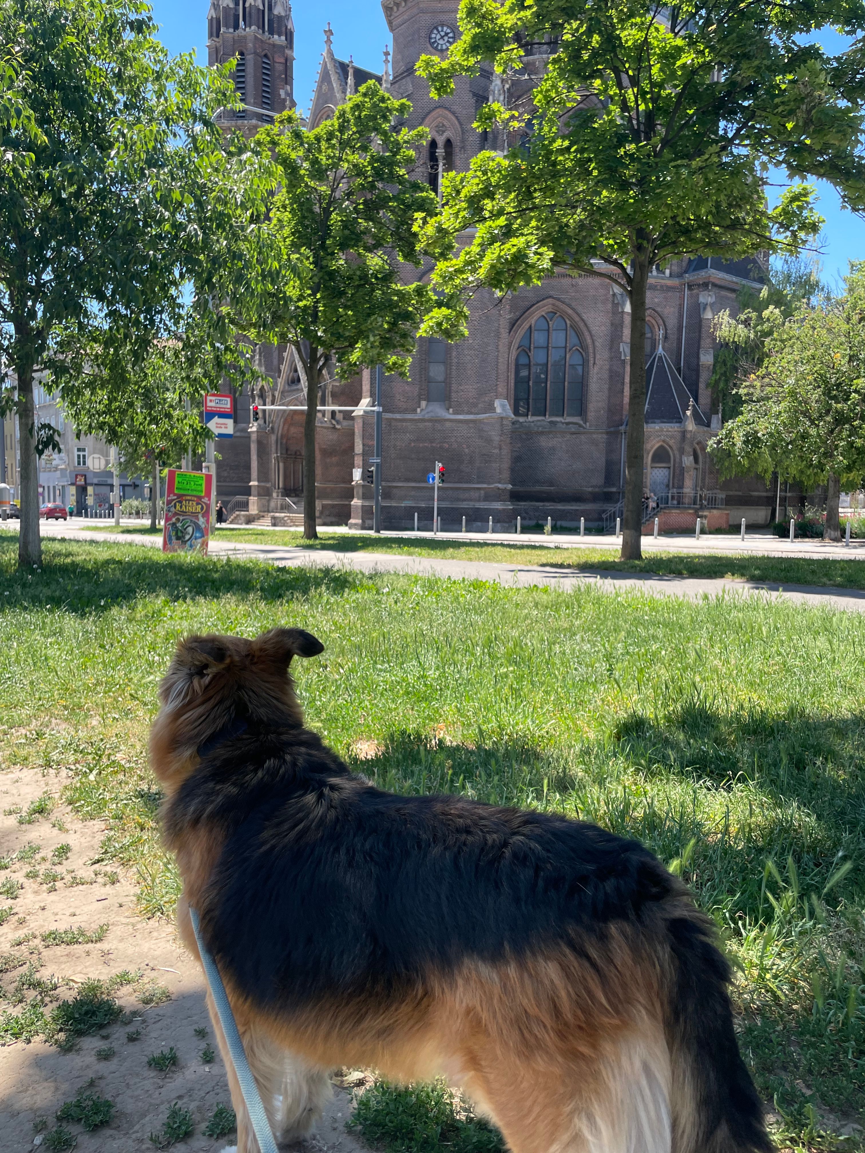 image-42