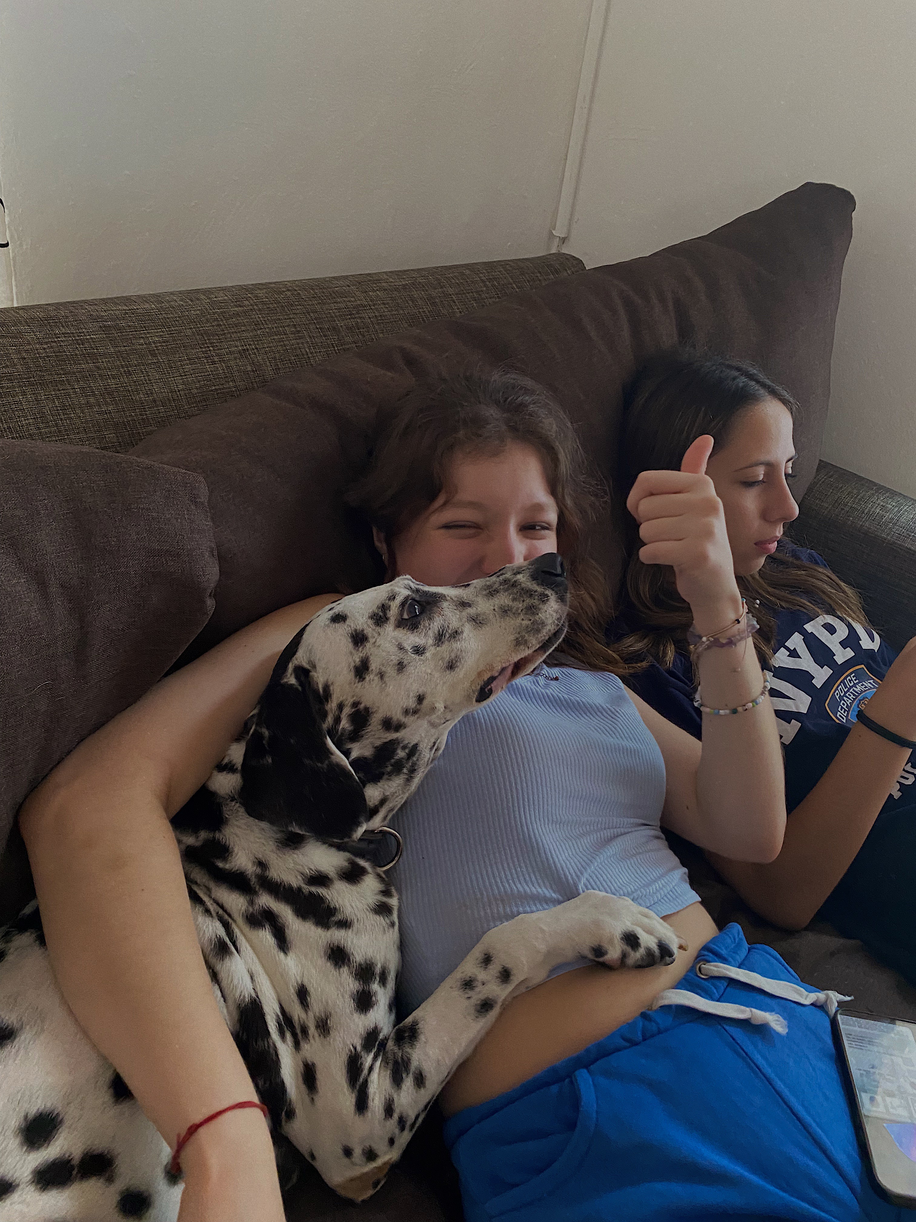 image-7