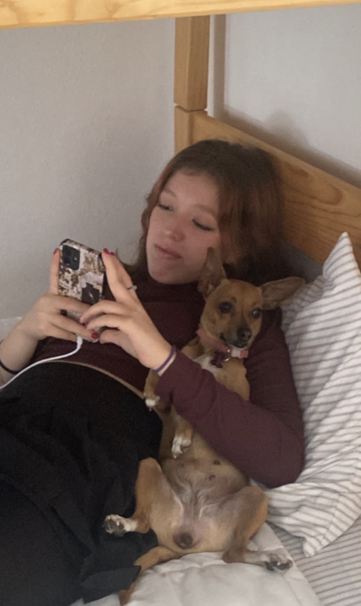 image-8