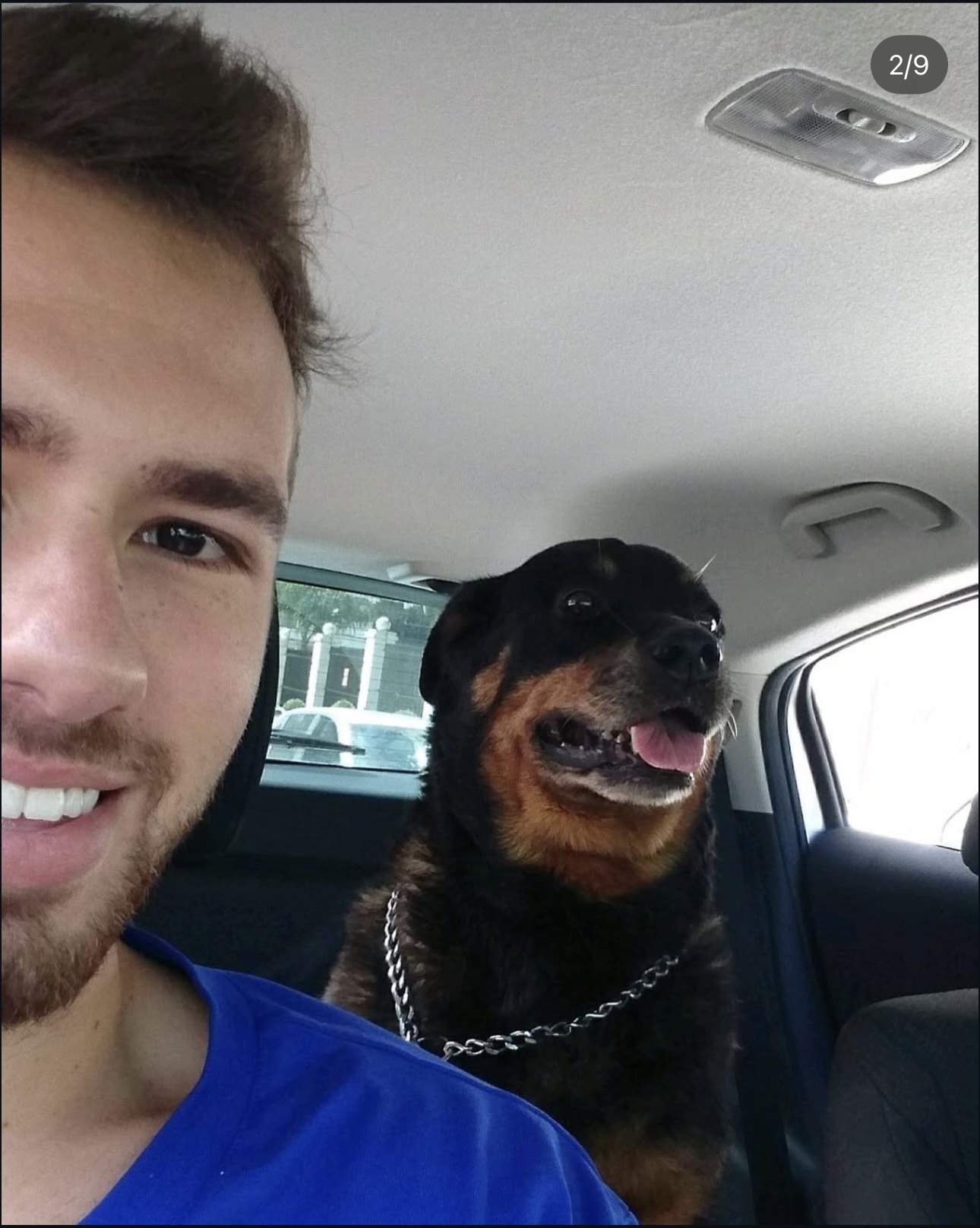 image-6