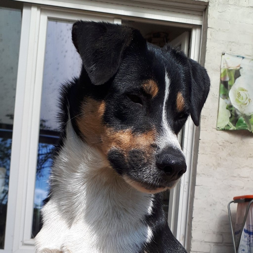 Max