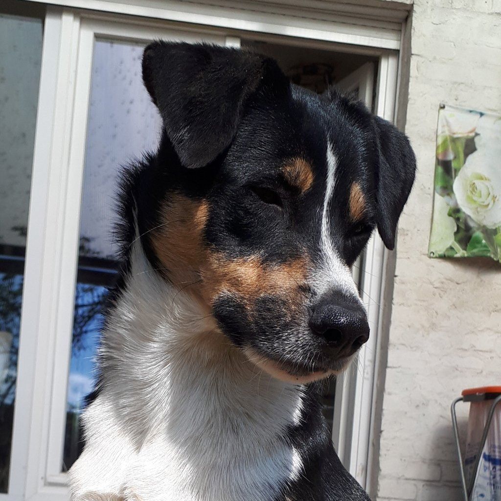 Max