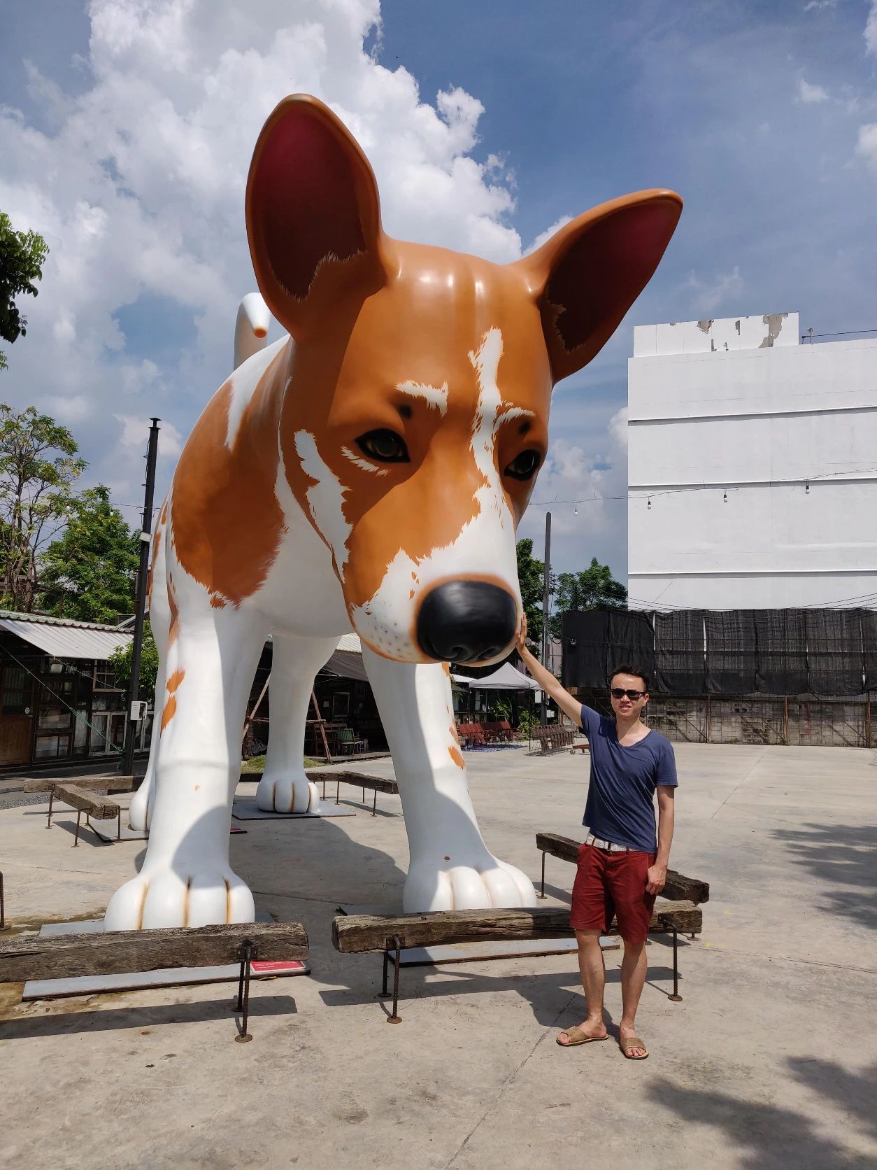 image-5
