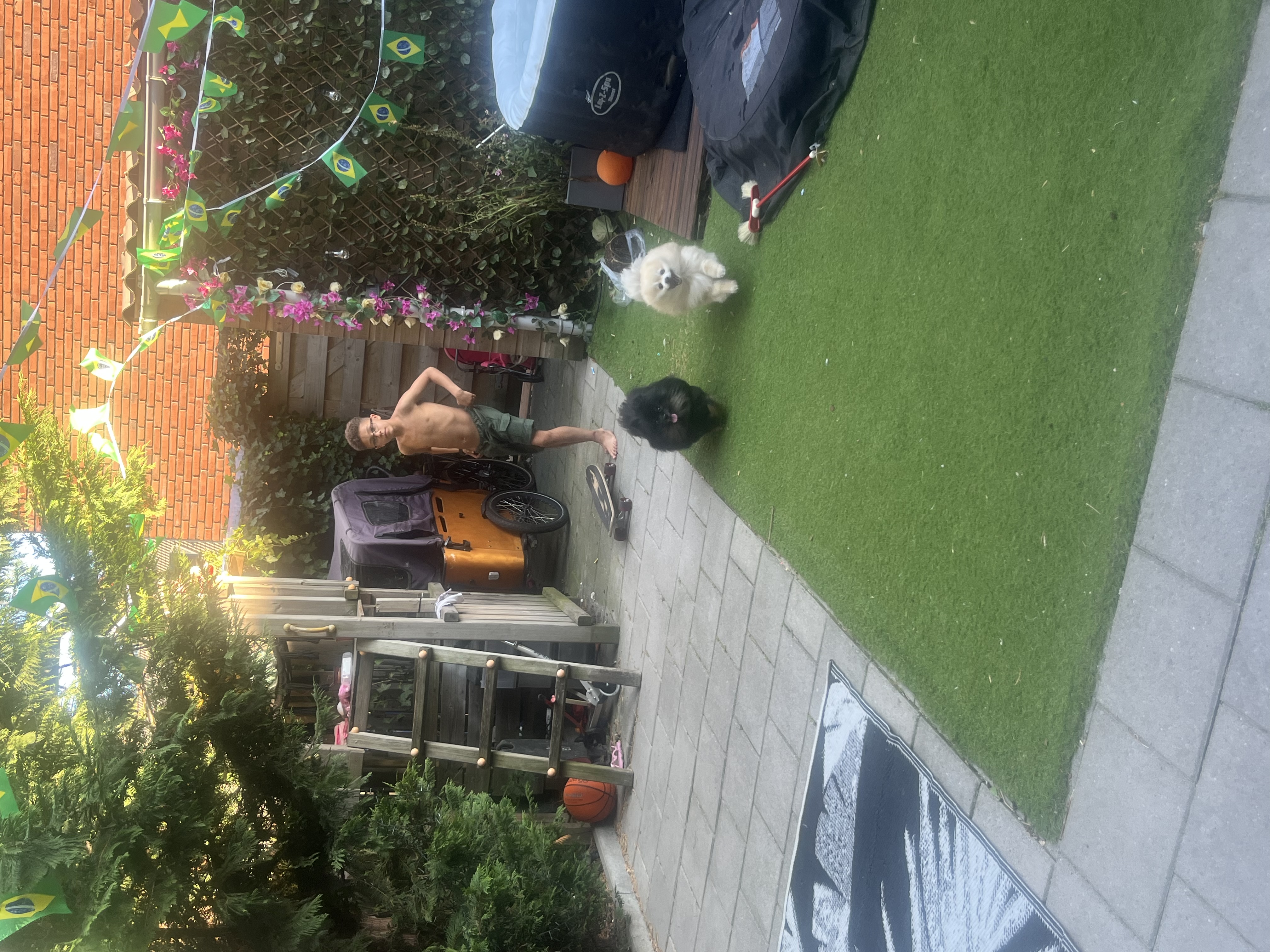 image-46