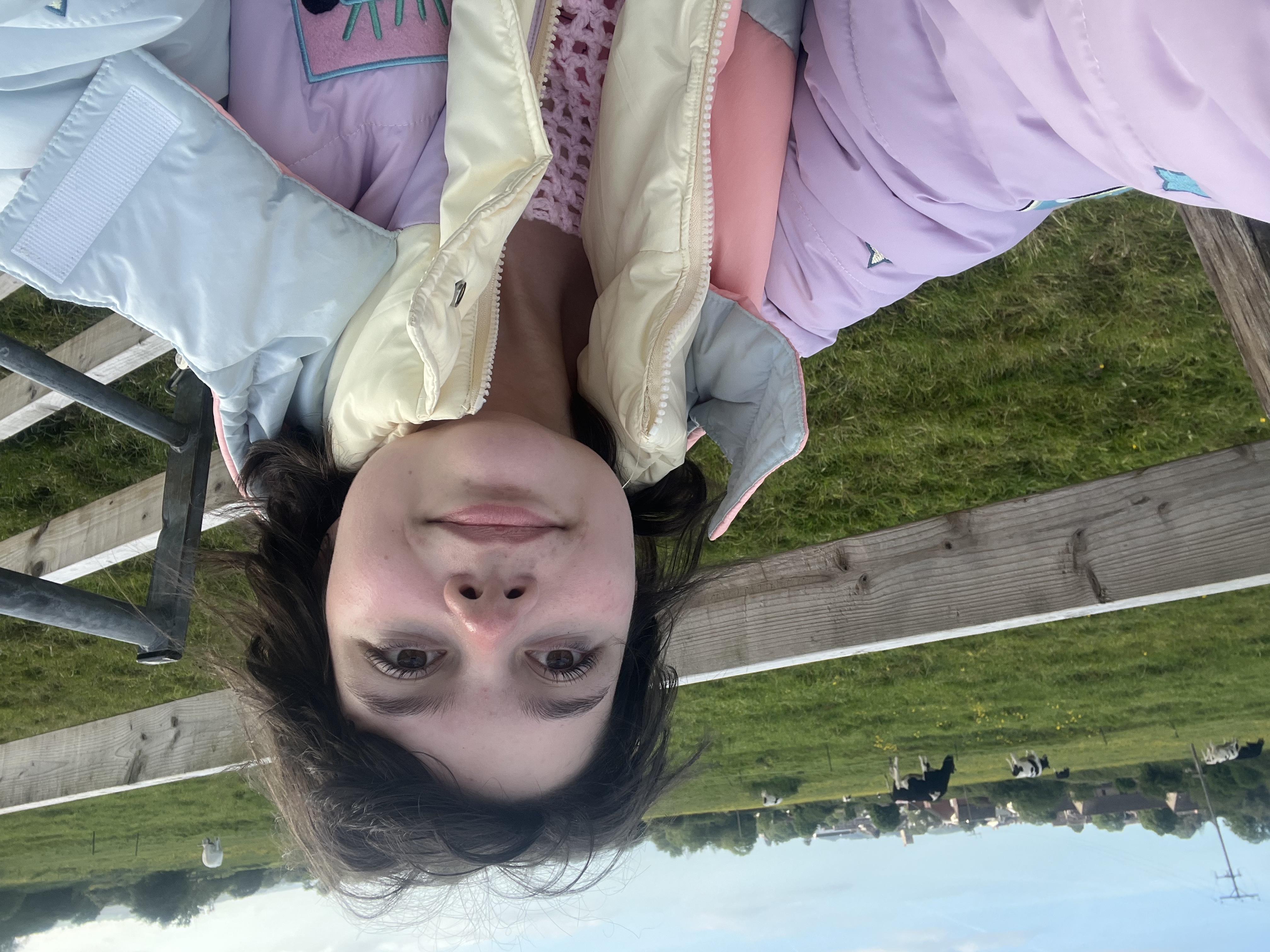 image-13