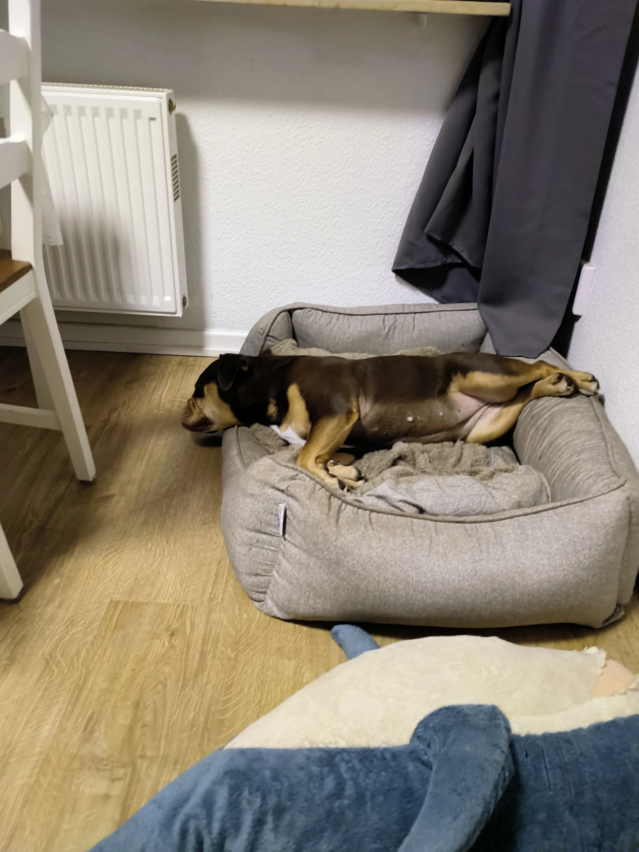 image-16