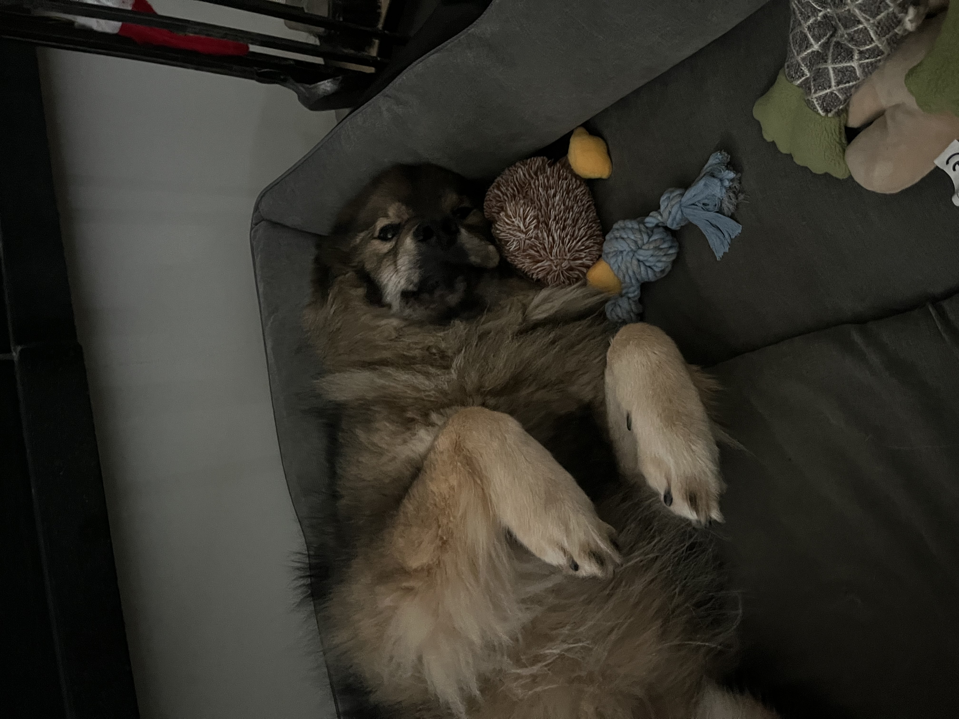 image-9