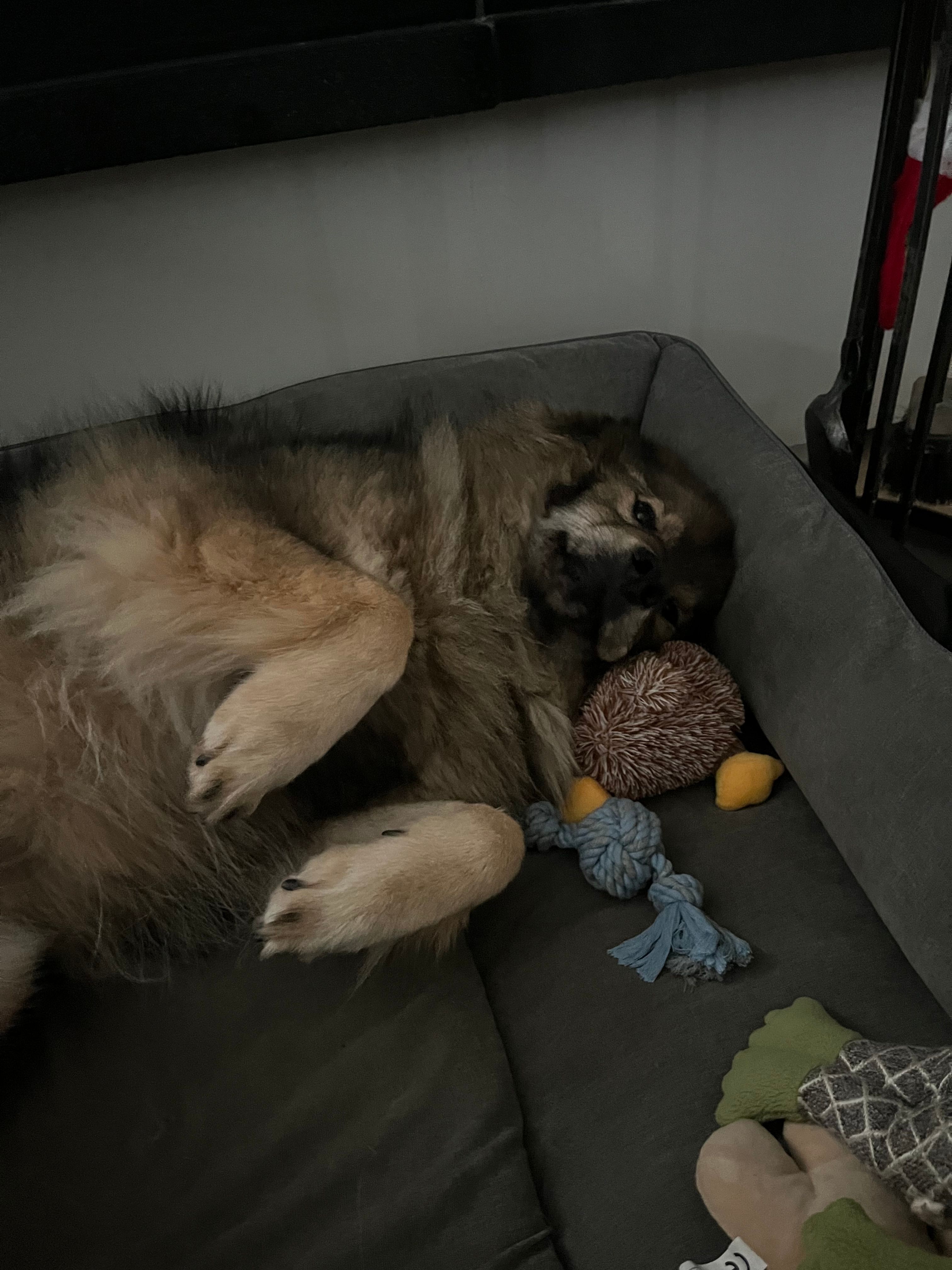 image-9