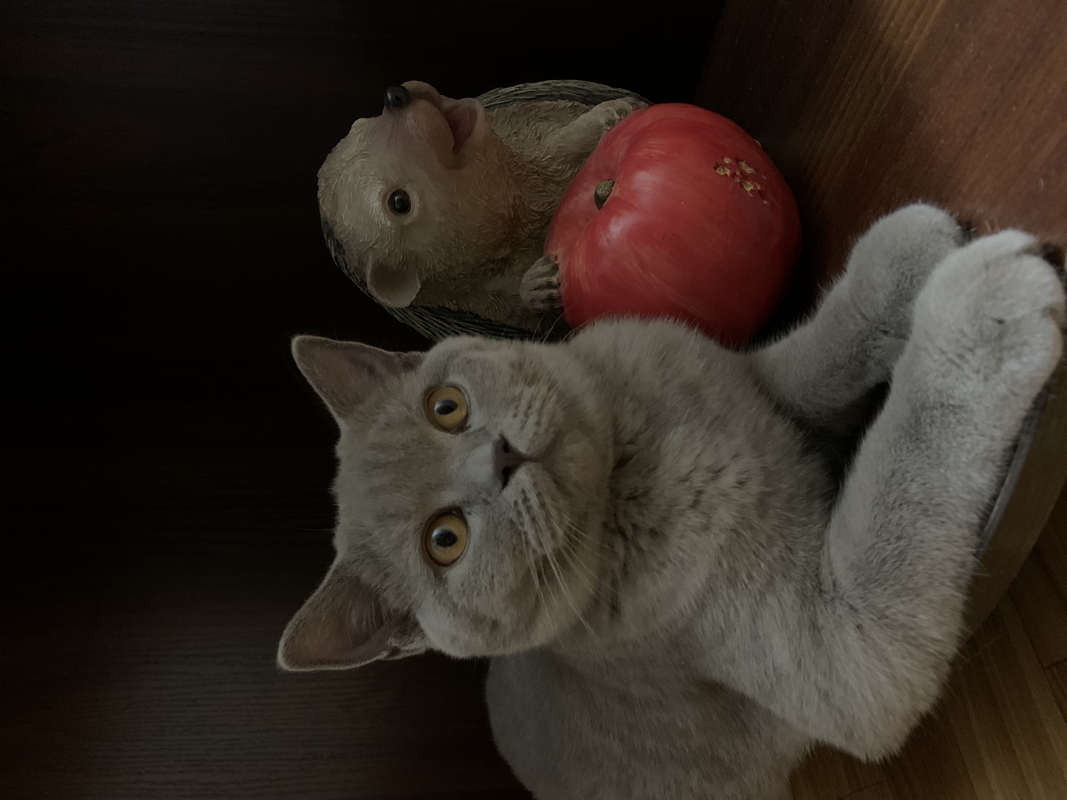 image-6