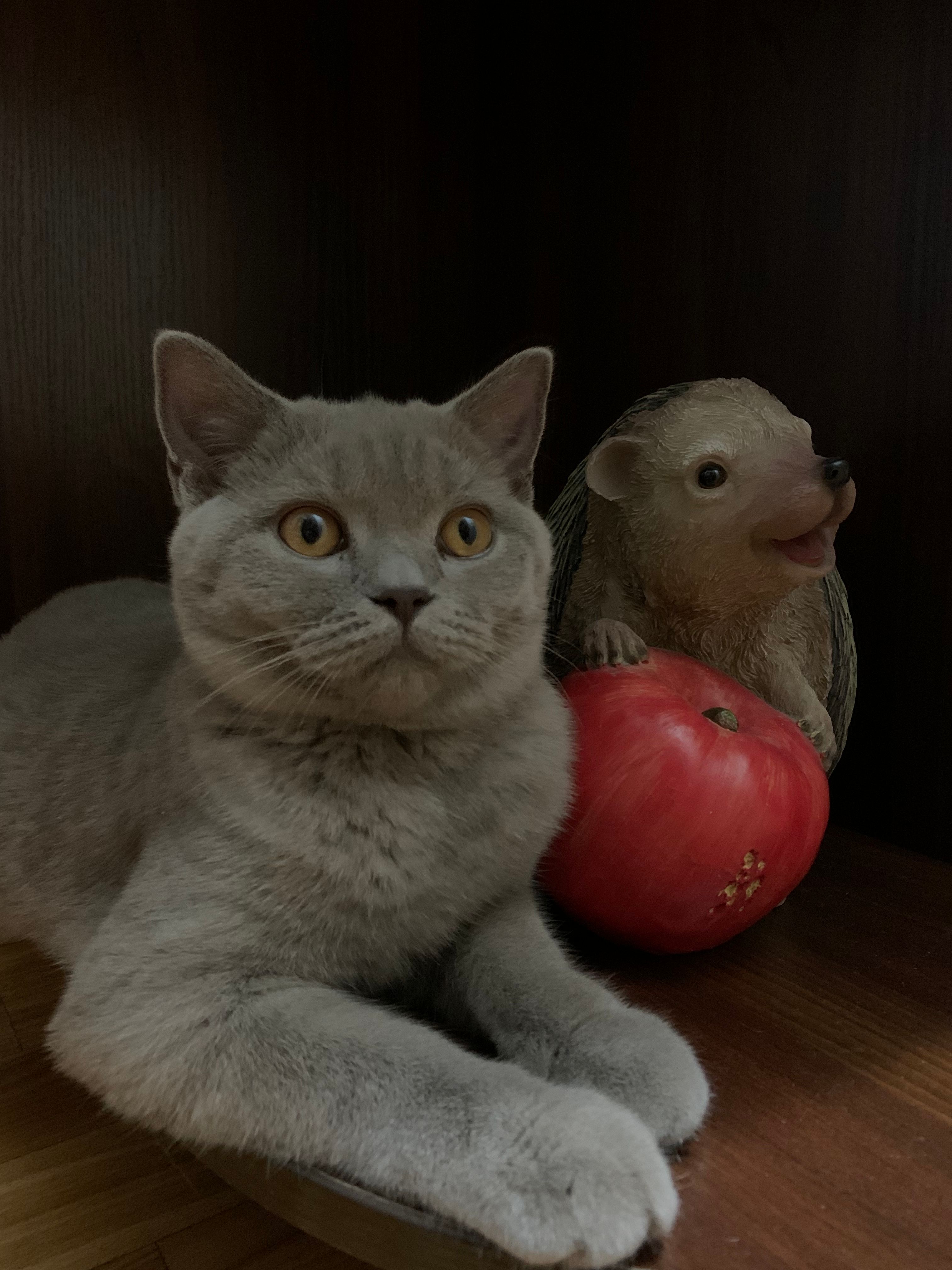 image-6