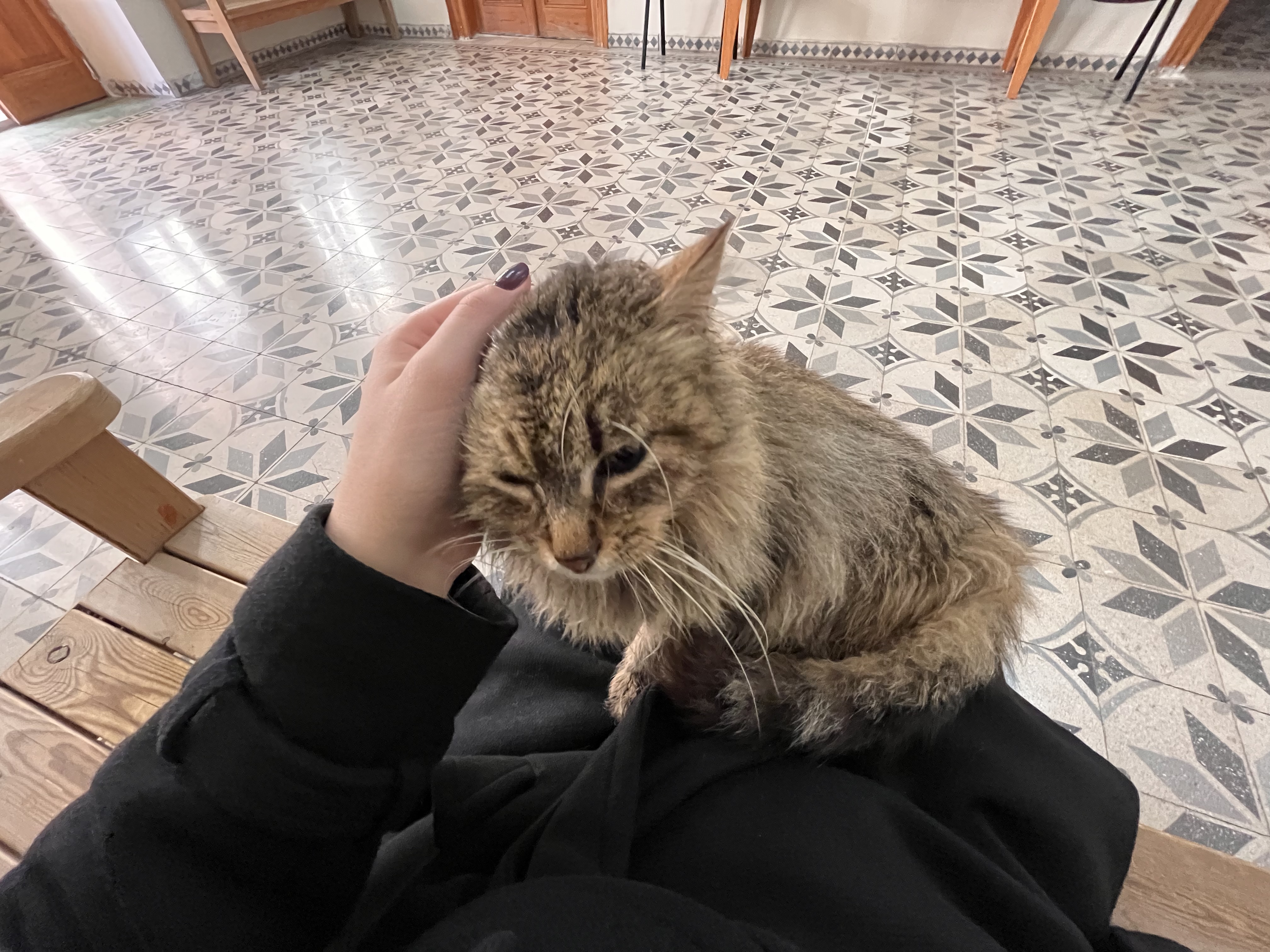 image-7
