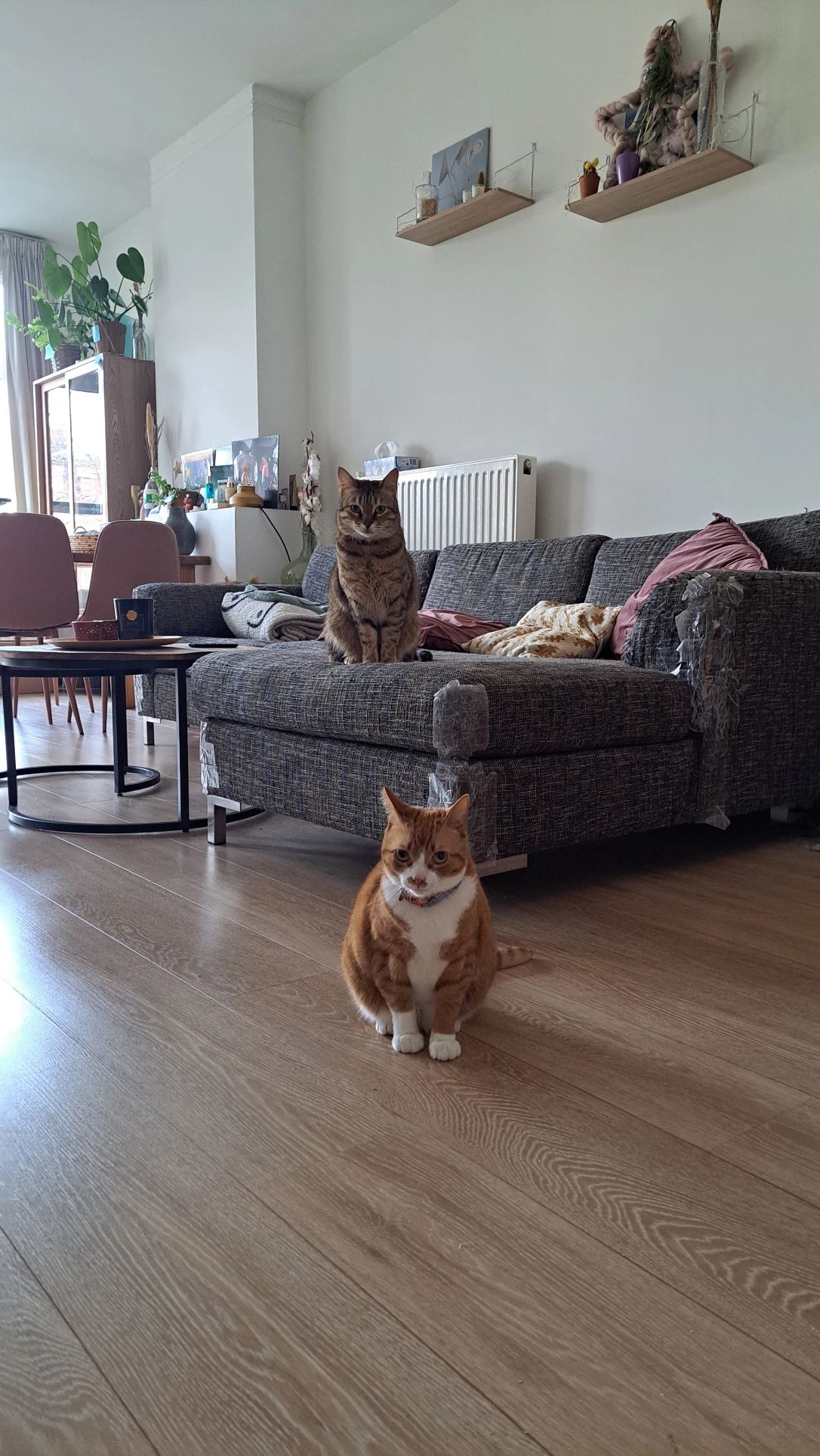 image-15