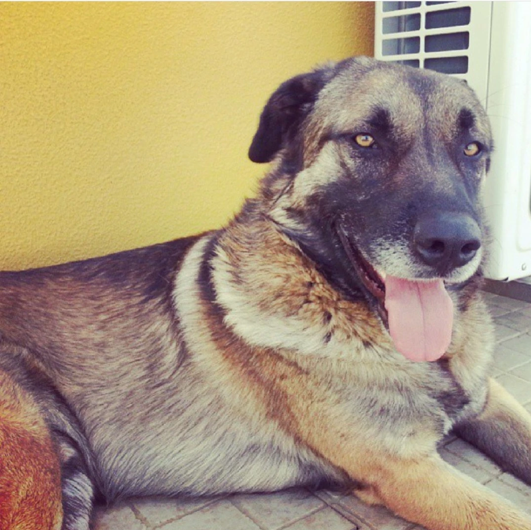 image-2