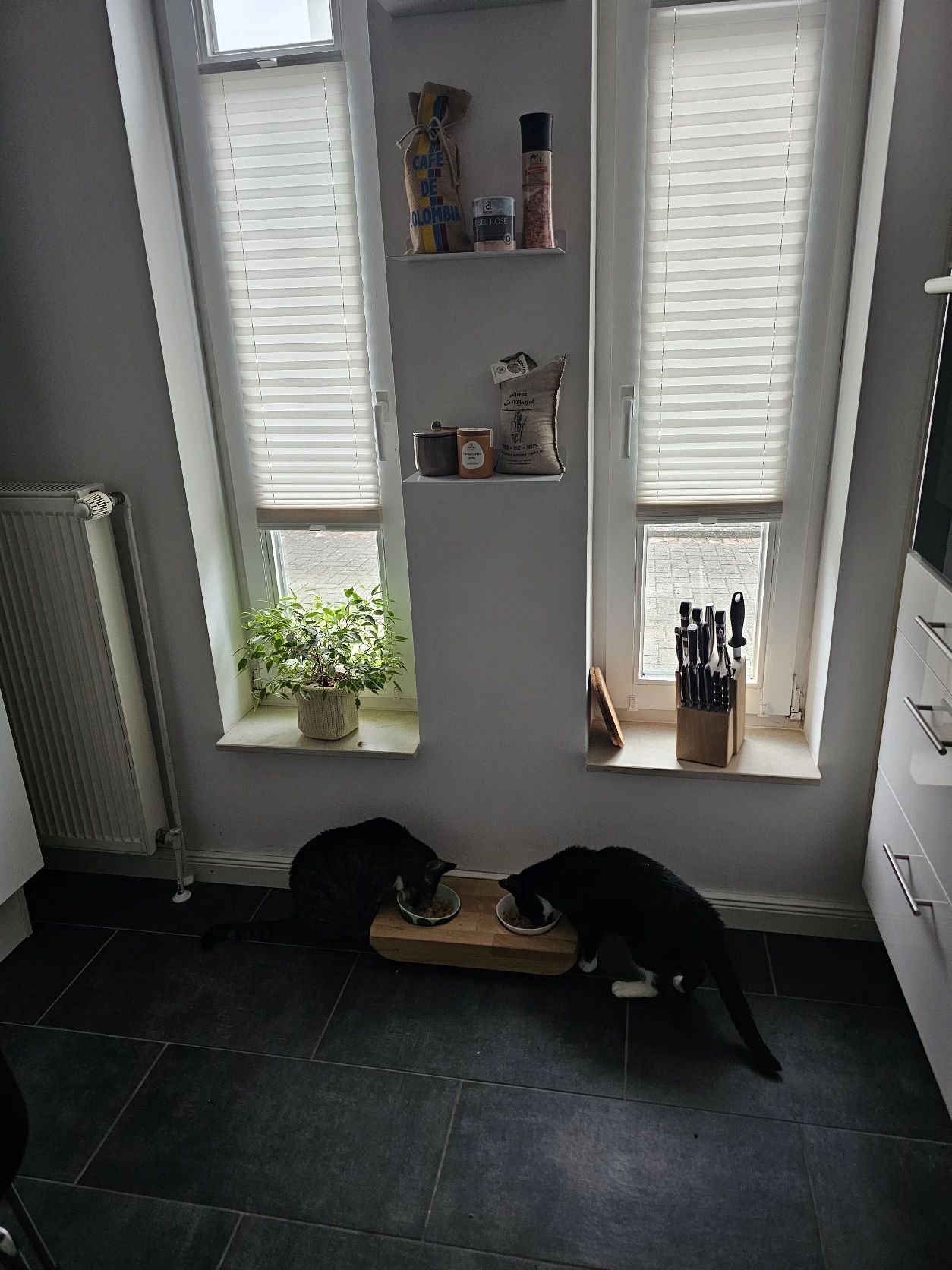 image-17