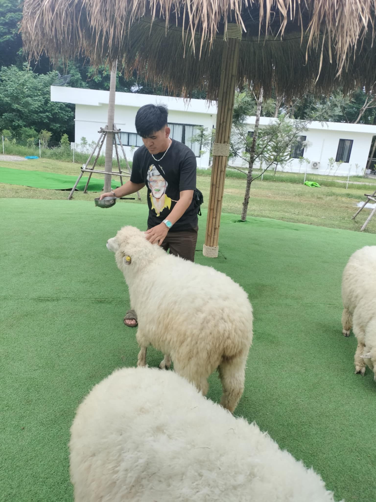 image-4